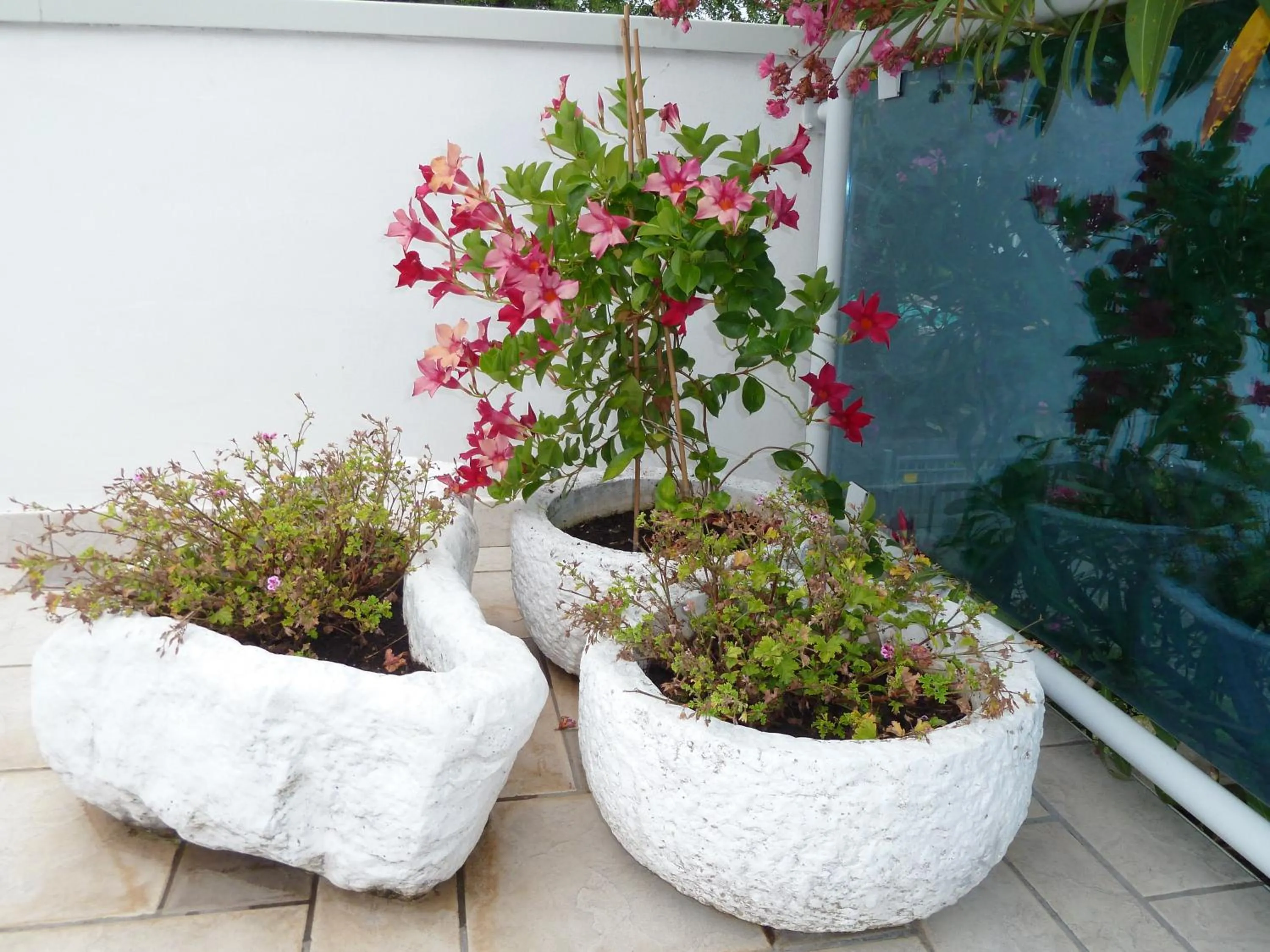 Other in Hotel Firenze