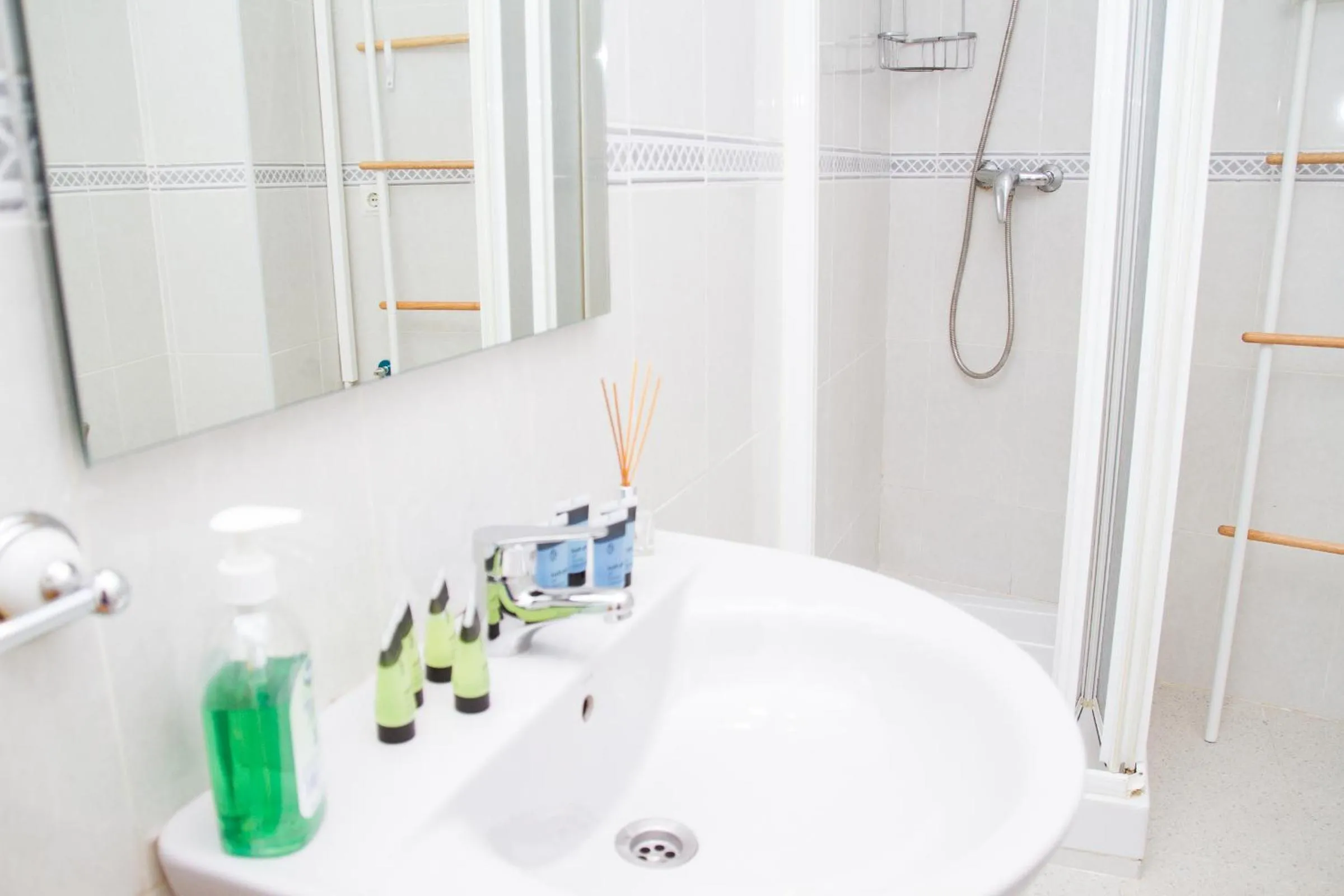 Shower in C57 - Spacious and Bright Apartment