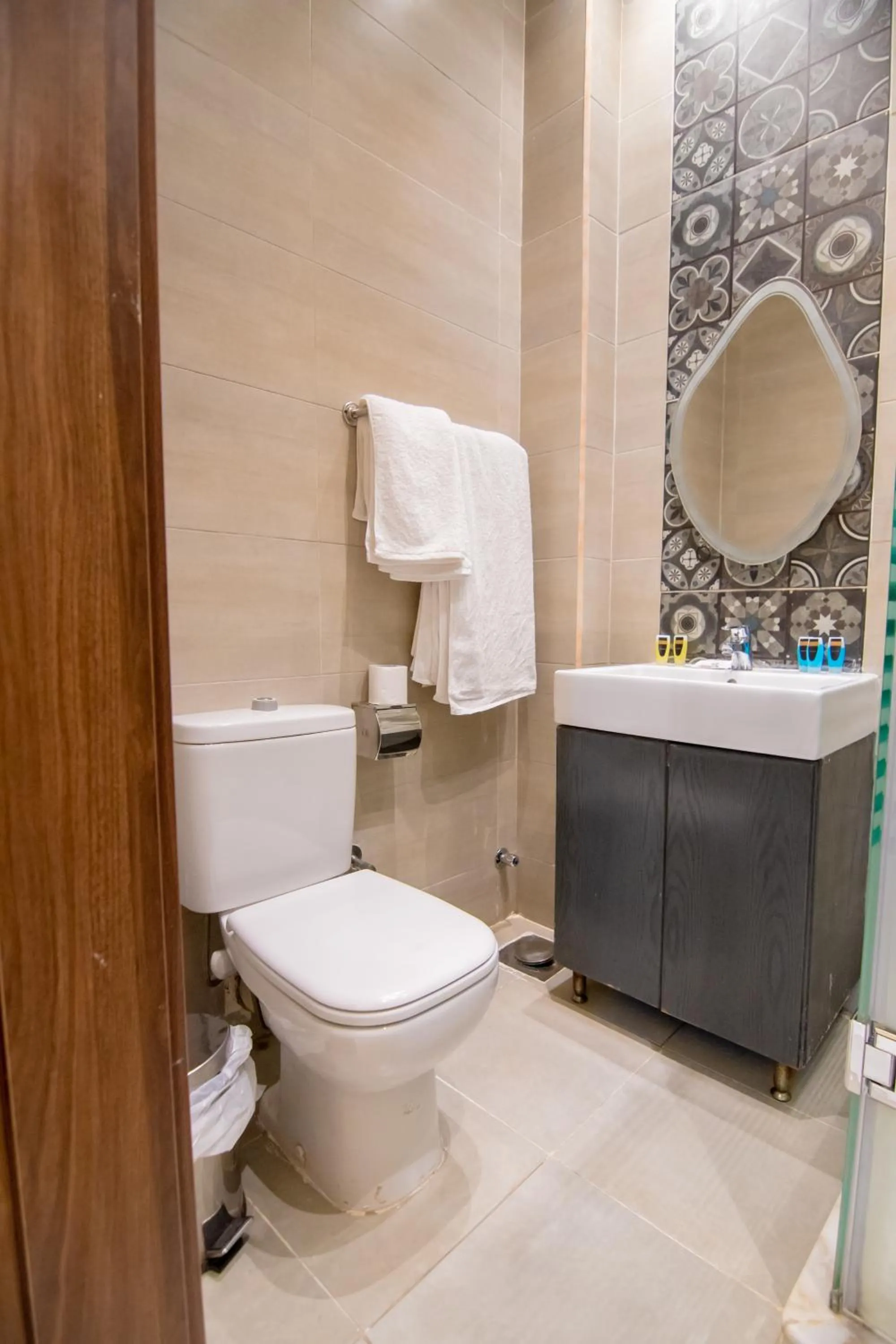 Toilet in Egyptian Night Hostel