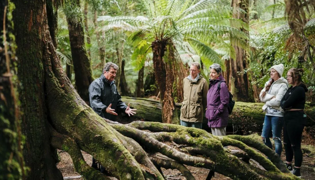 Natural landscape in Tall Timbers Tasmania