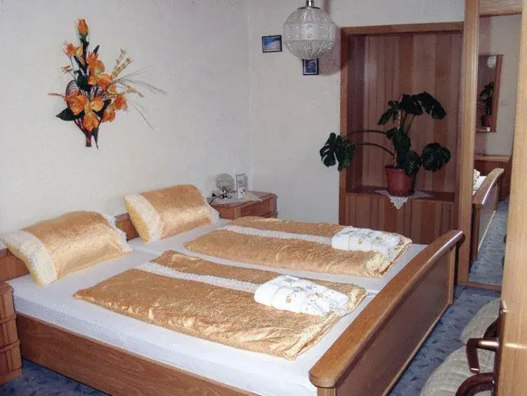 Double Room in Hotel Drei Könige Double Room in Hotel Drei Könige