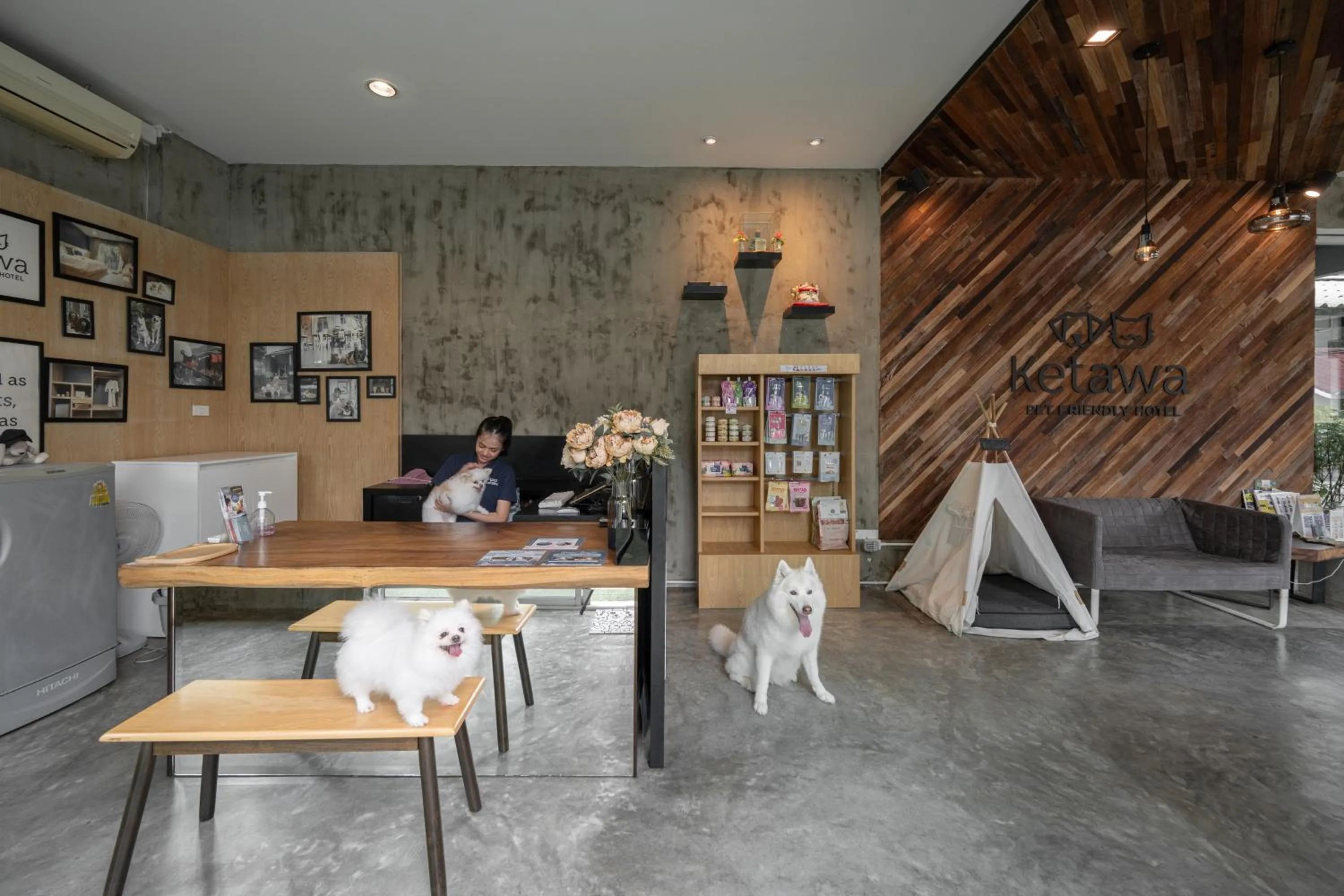 Property building in Ketawa Pet Friendly Hotel