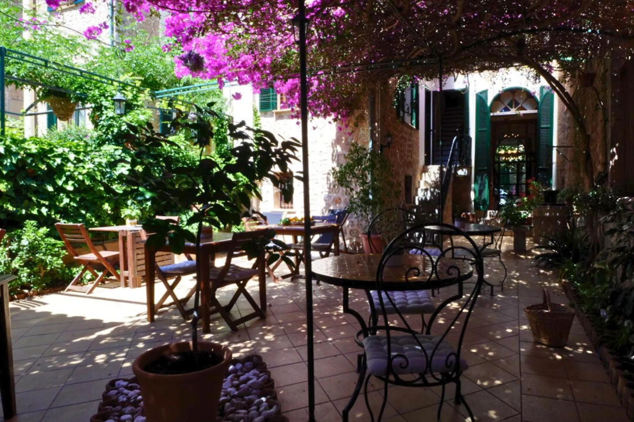 Garden in Hotel Casa Bougainvillea