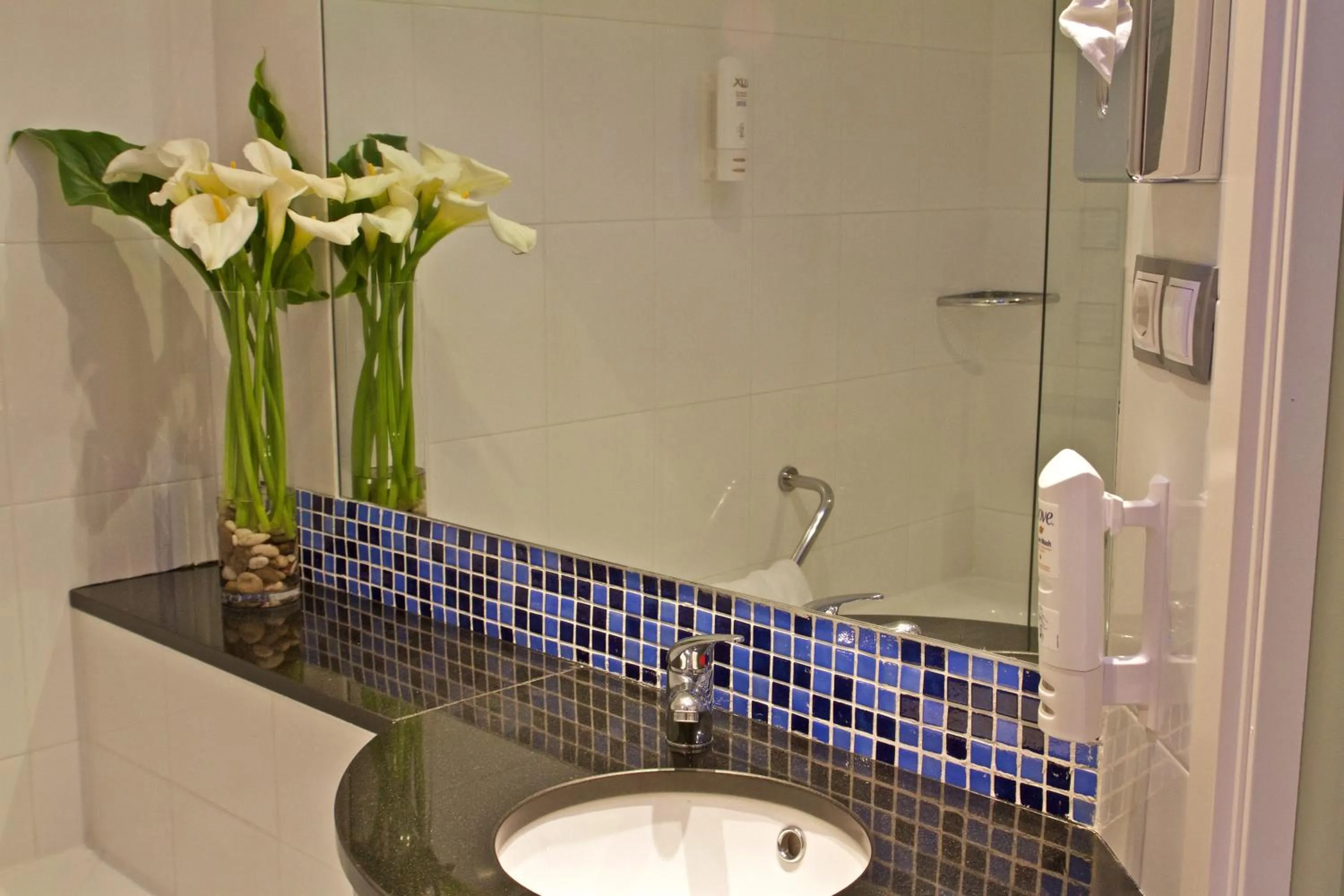 Bathroom in Holiday Inn Express Campo de Gibraltar-Barrios by IHG
