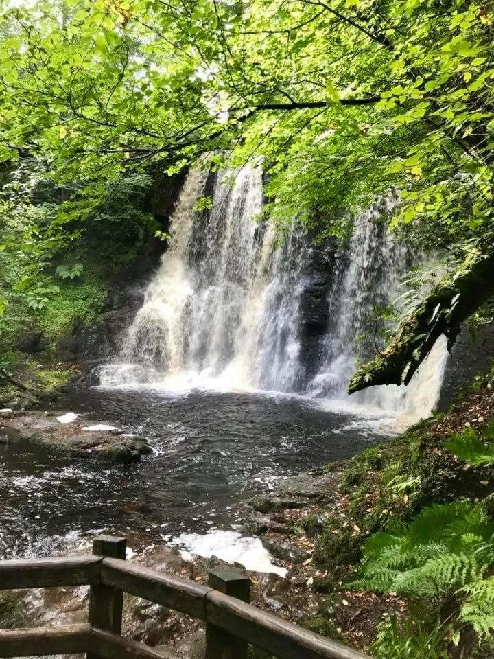 Natural landscape in Cullentra House