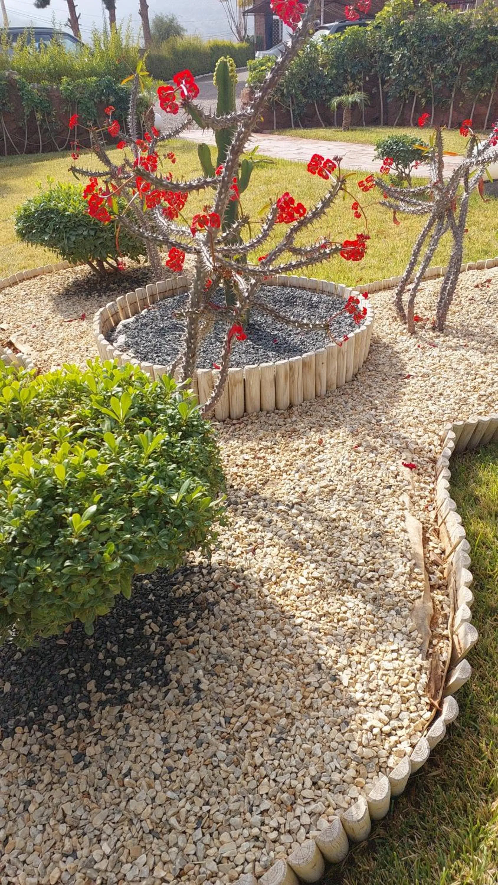 Garden in Chez Mamouchthka