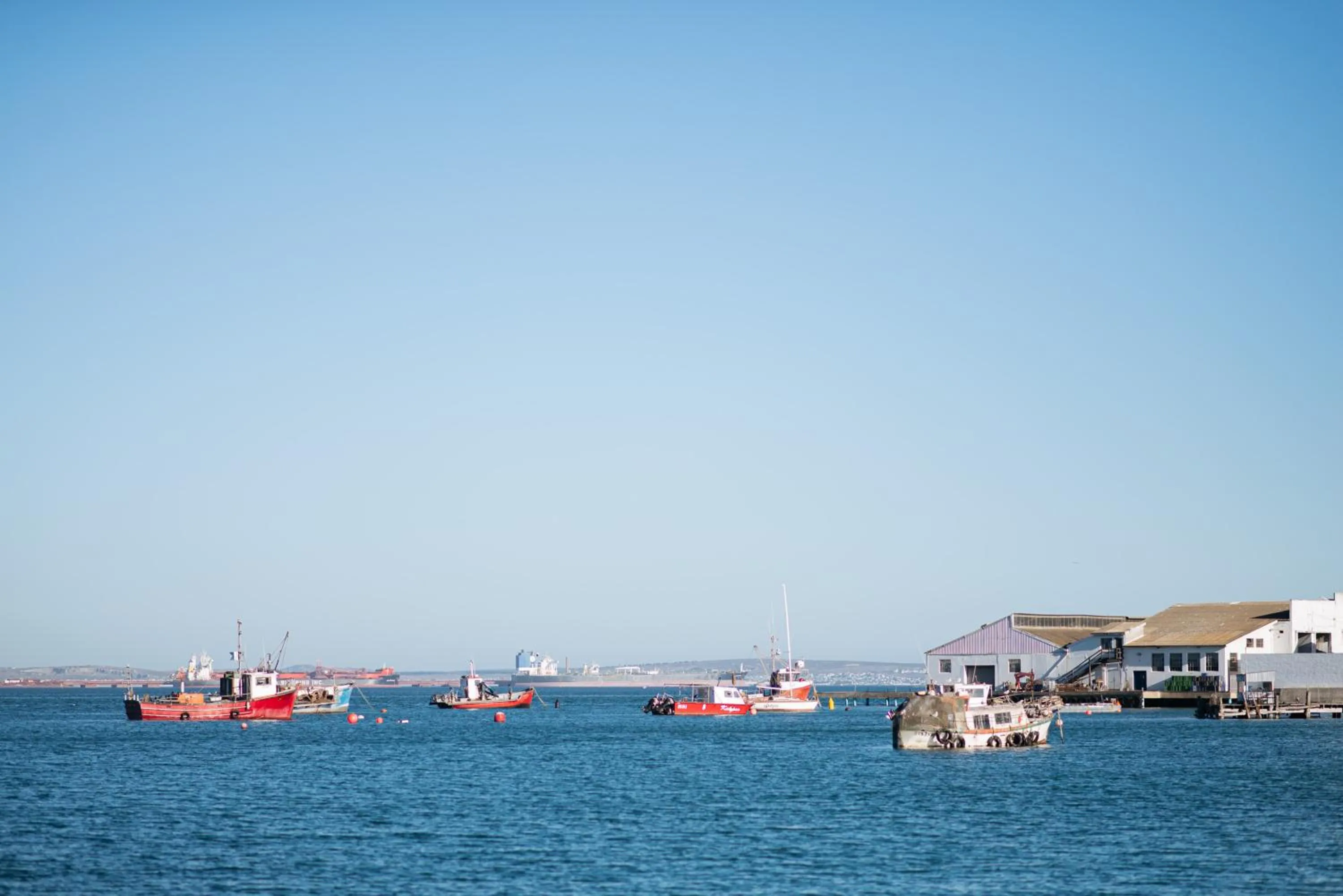 View (from property/room) in Saldanha Bay Hotel