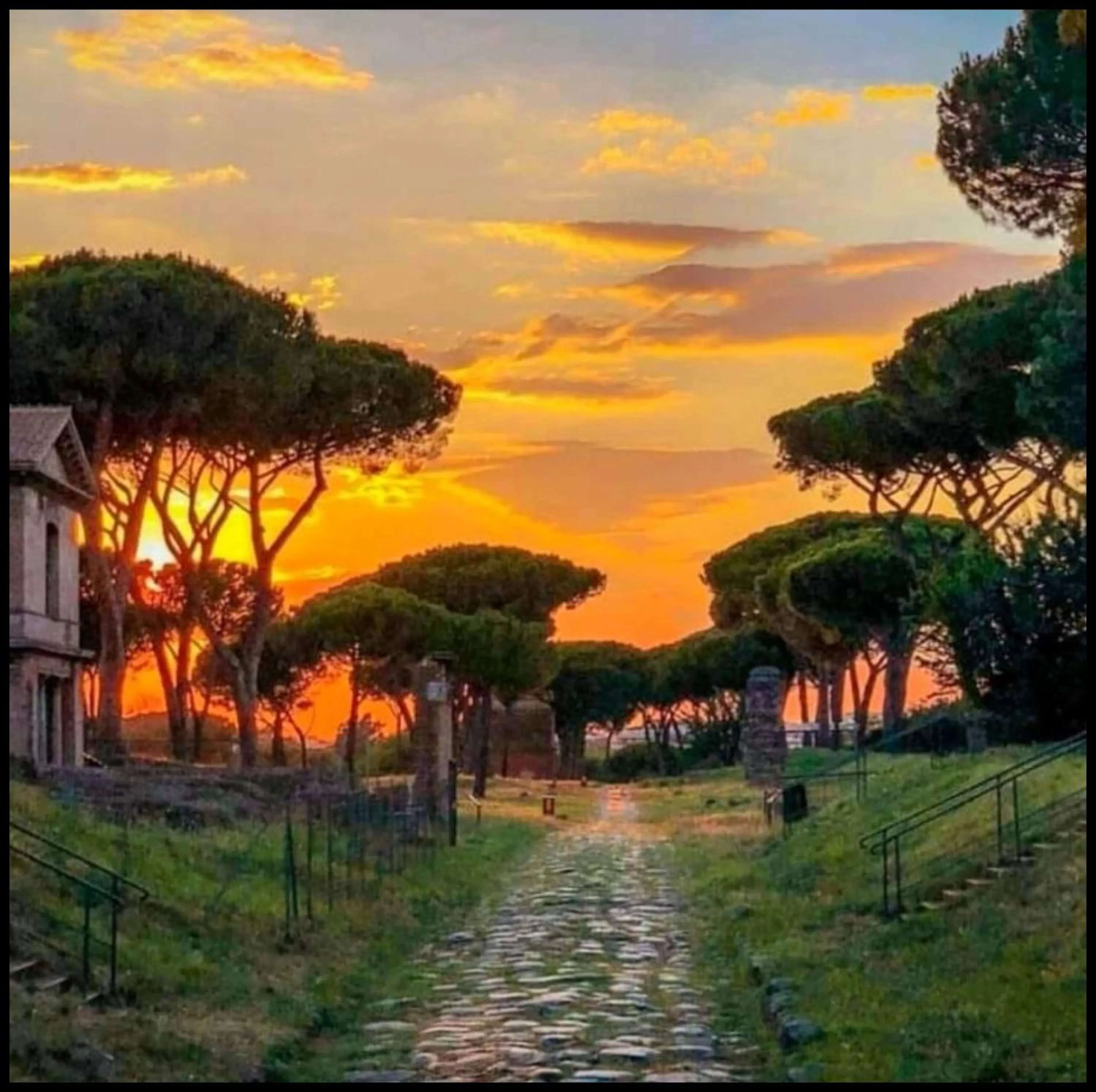 Natural landscape in My Bed Vatican Museum