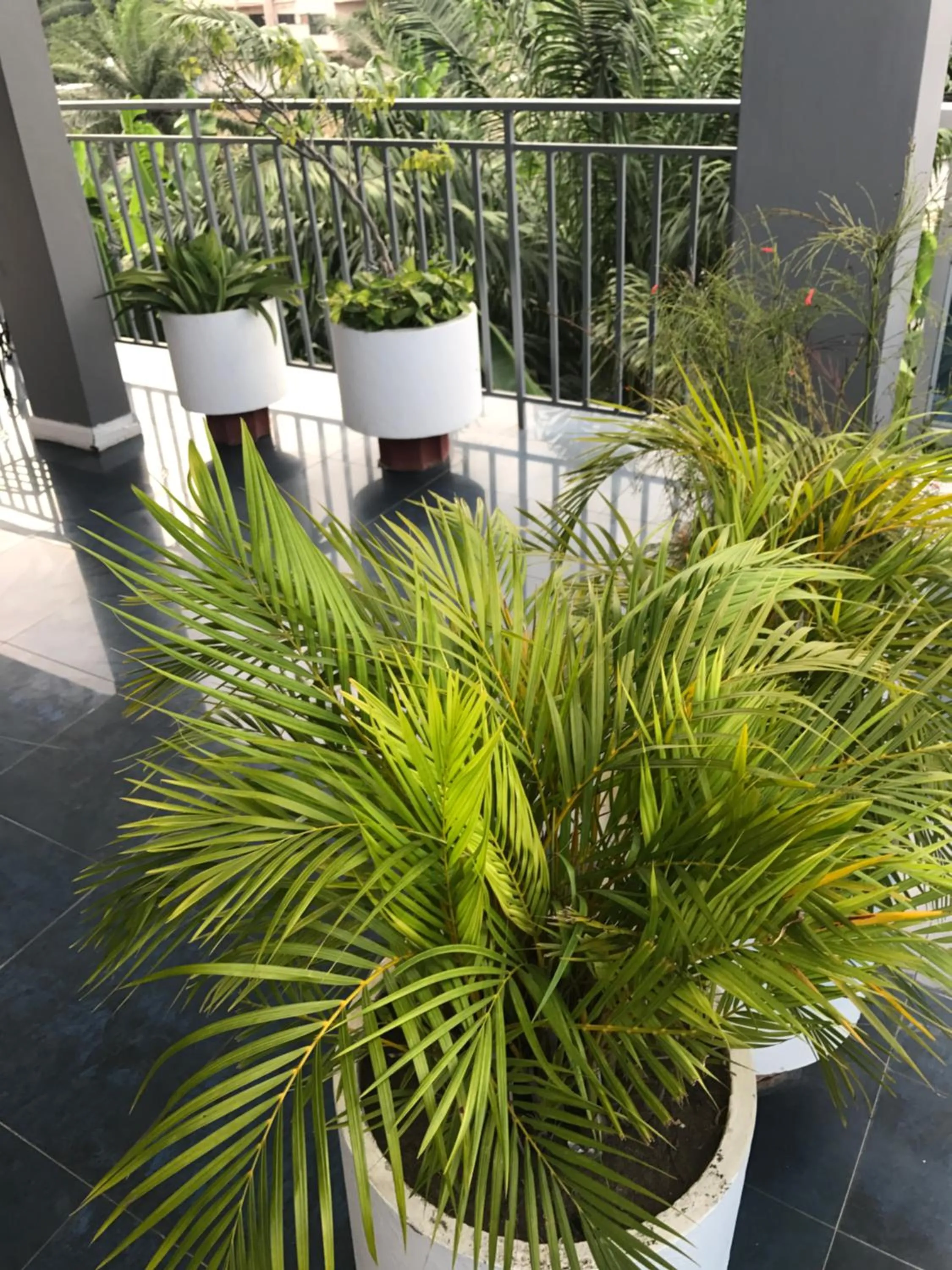 Balcony/Terrace in Van Der Salle