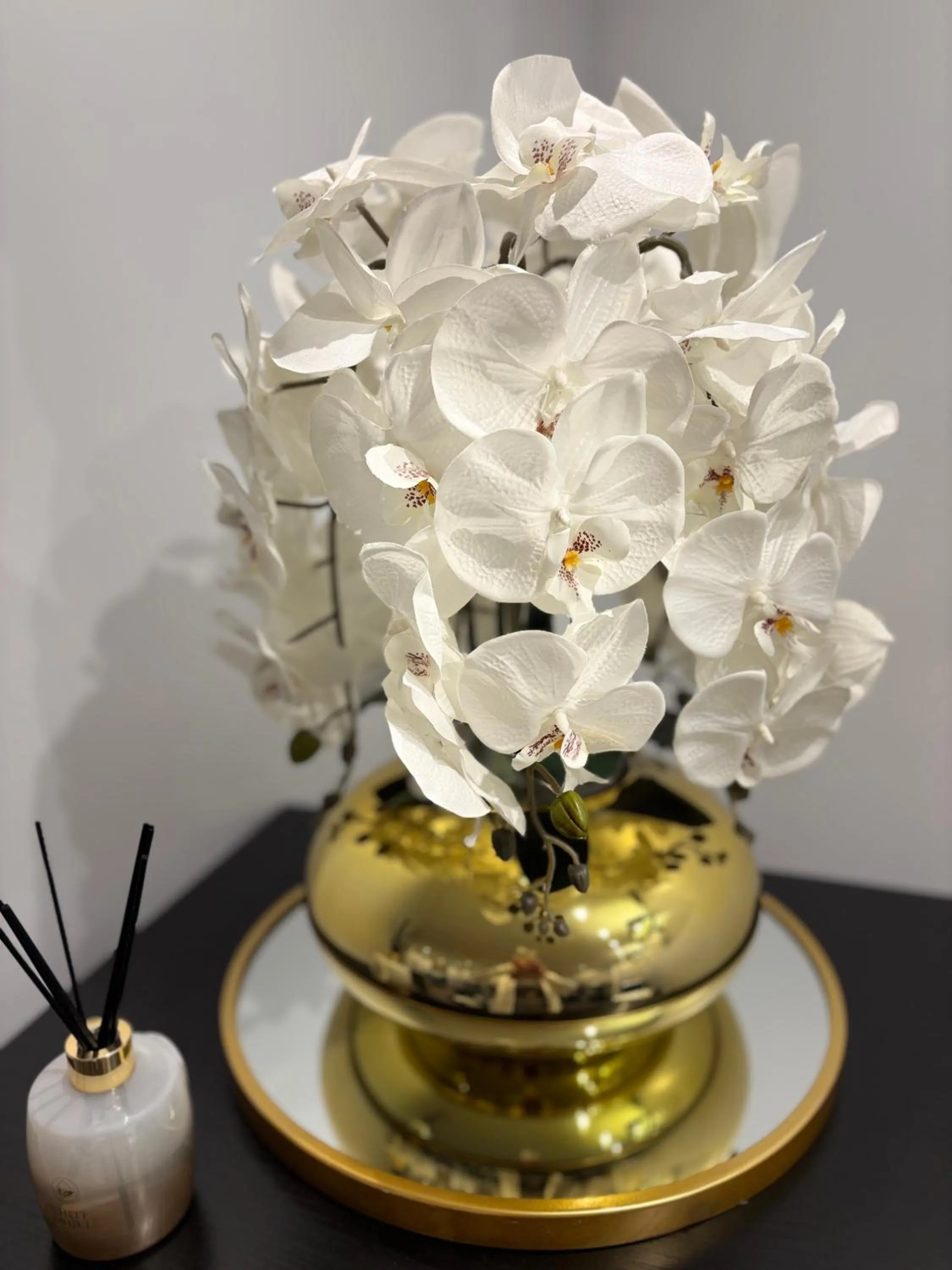 Hotel Riviera OPERA Cadet