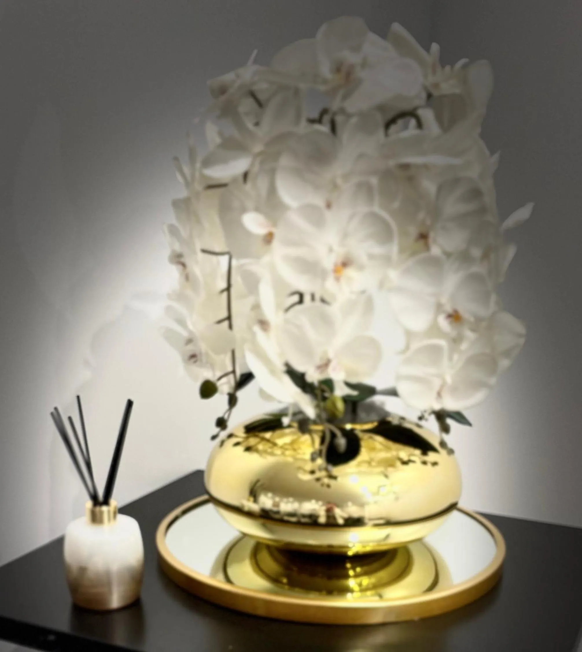 Hotel Riviera OPERA Cadet