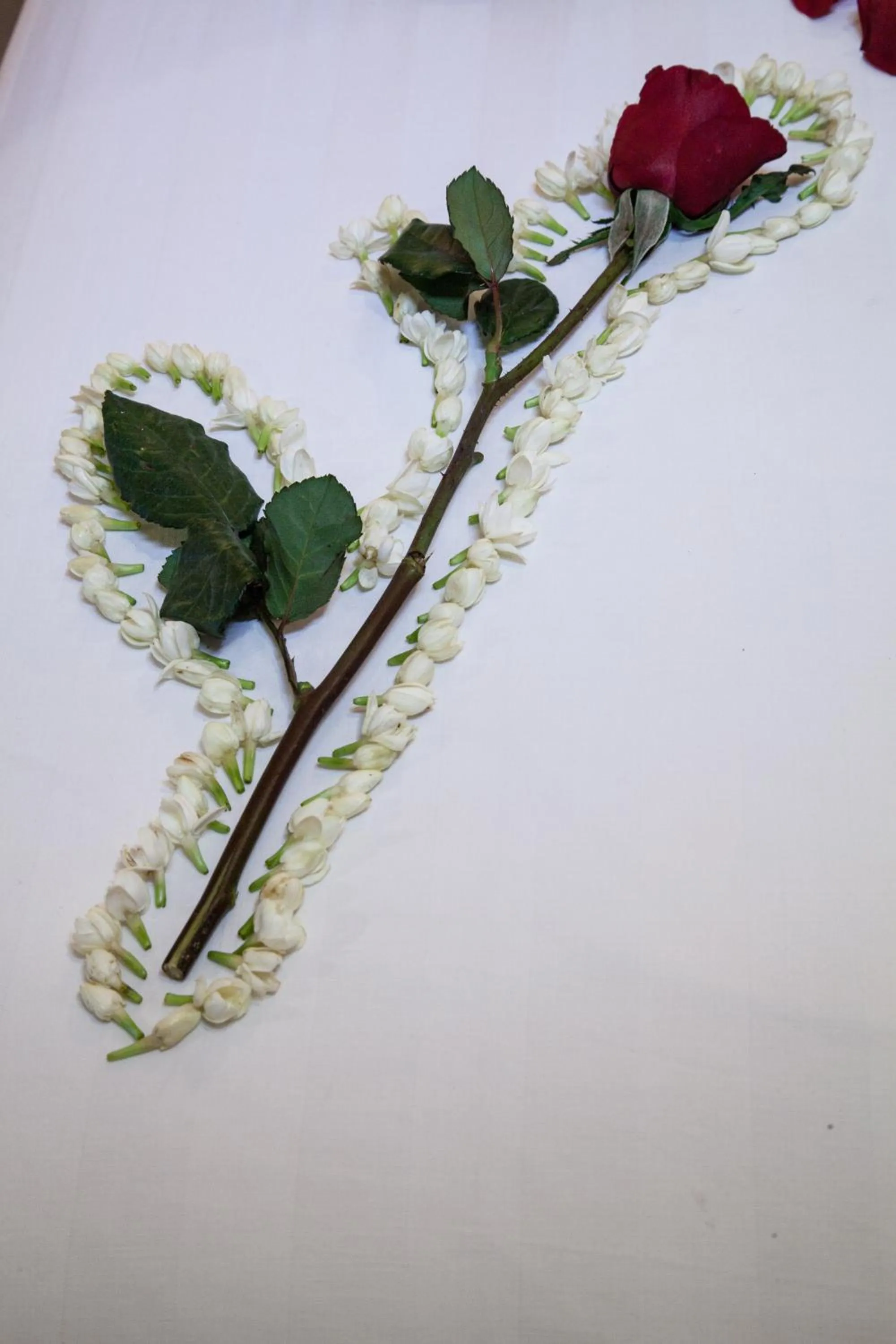 Other in Parklane Hotel