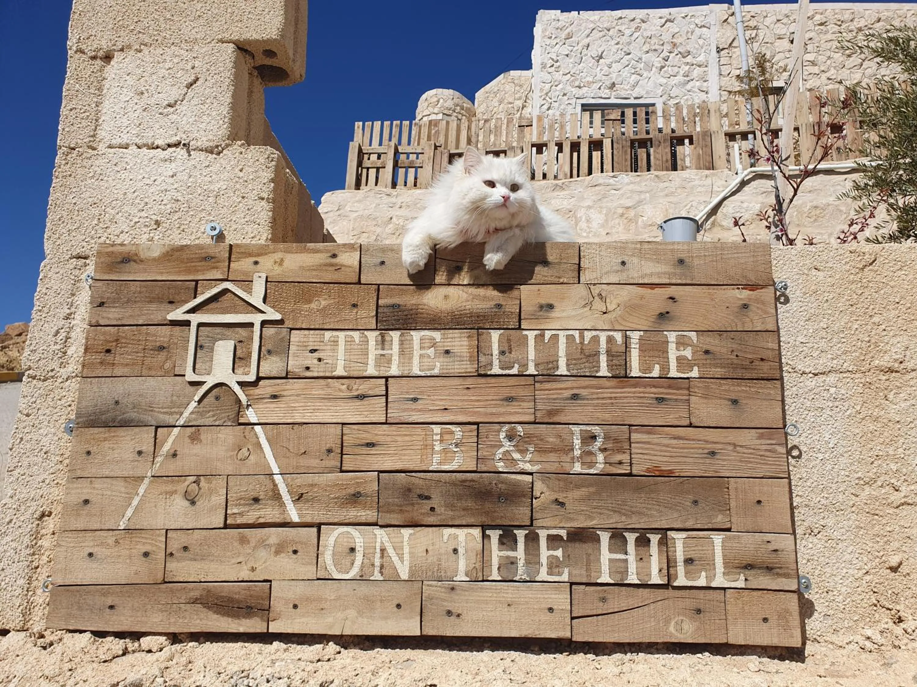 The Little B&B on the Hill