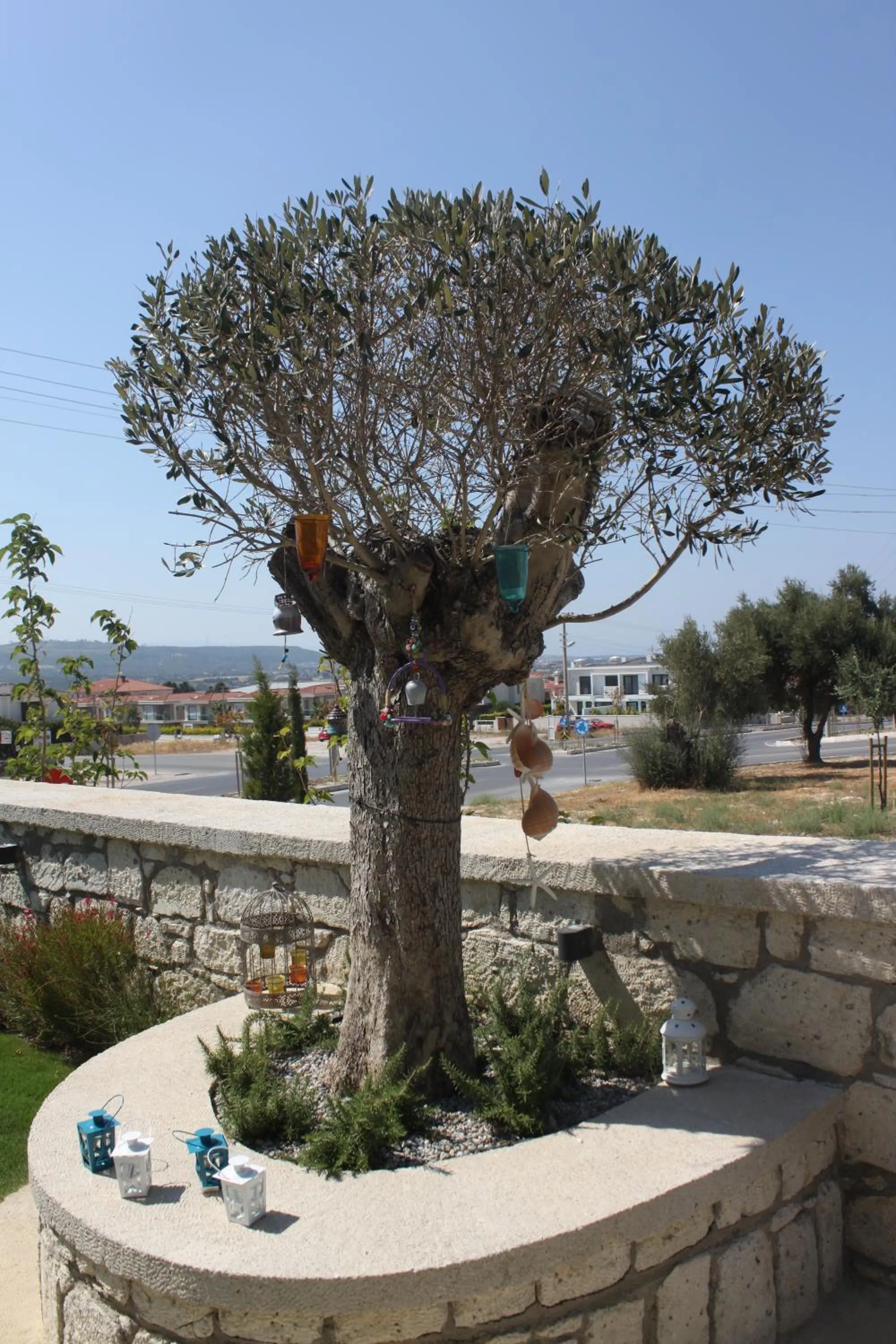 Natural landscape in Eritrina Alacati