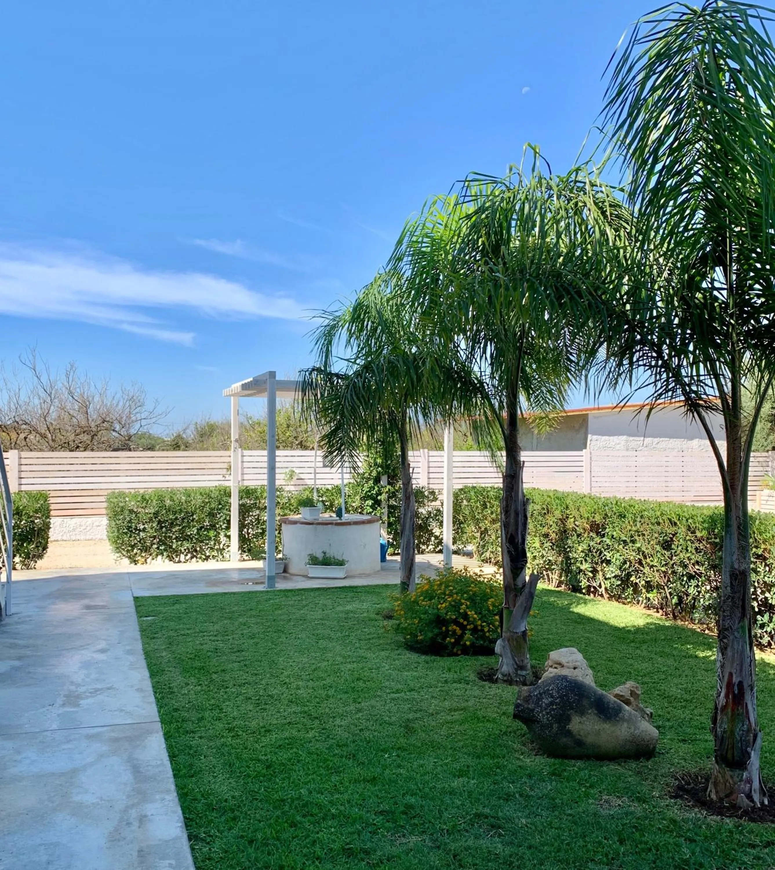 Garden in Sun of Sicily