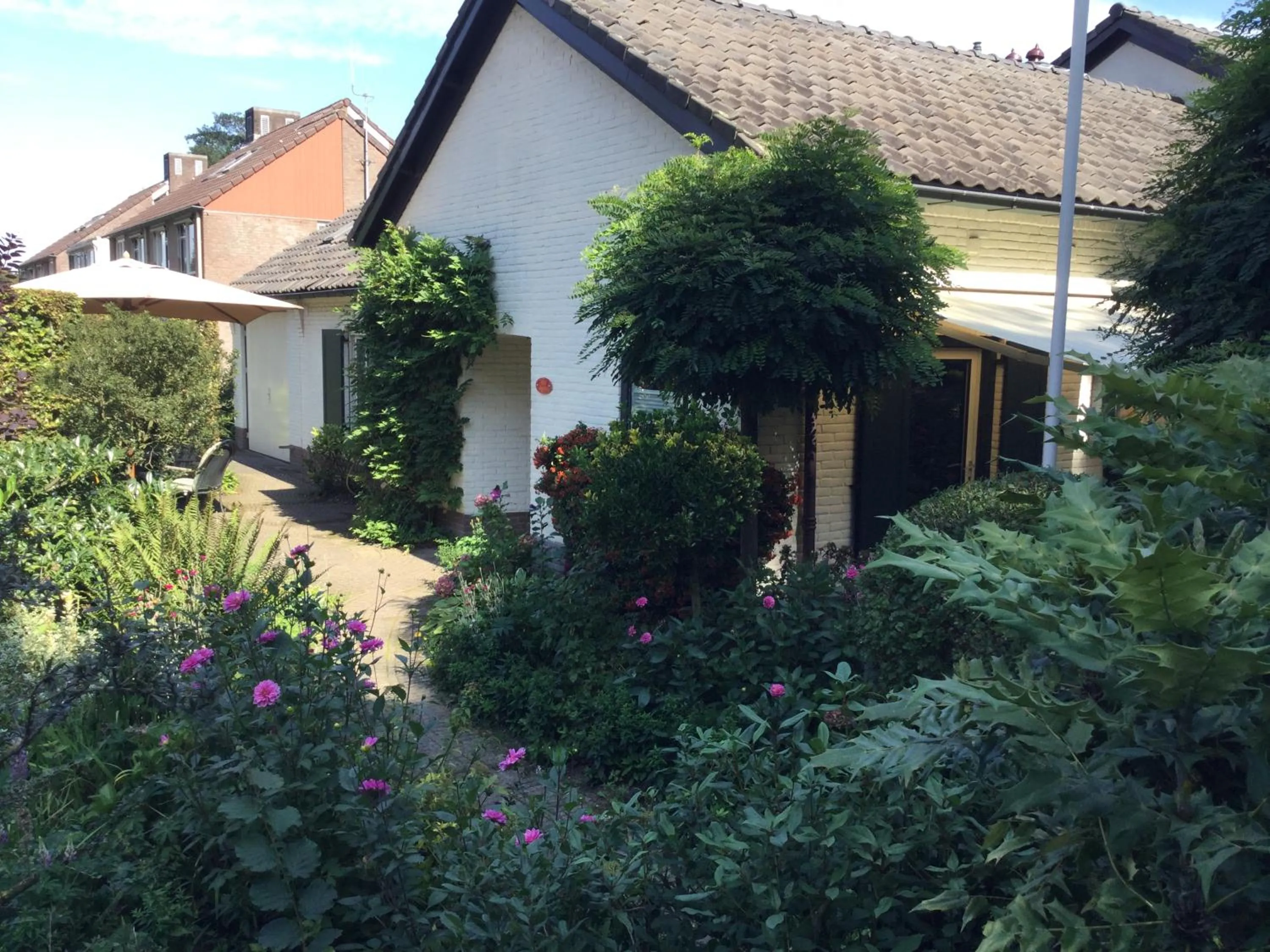 Garden in B&B Bosrand