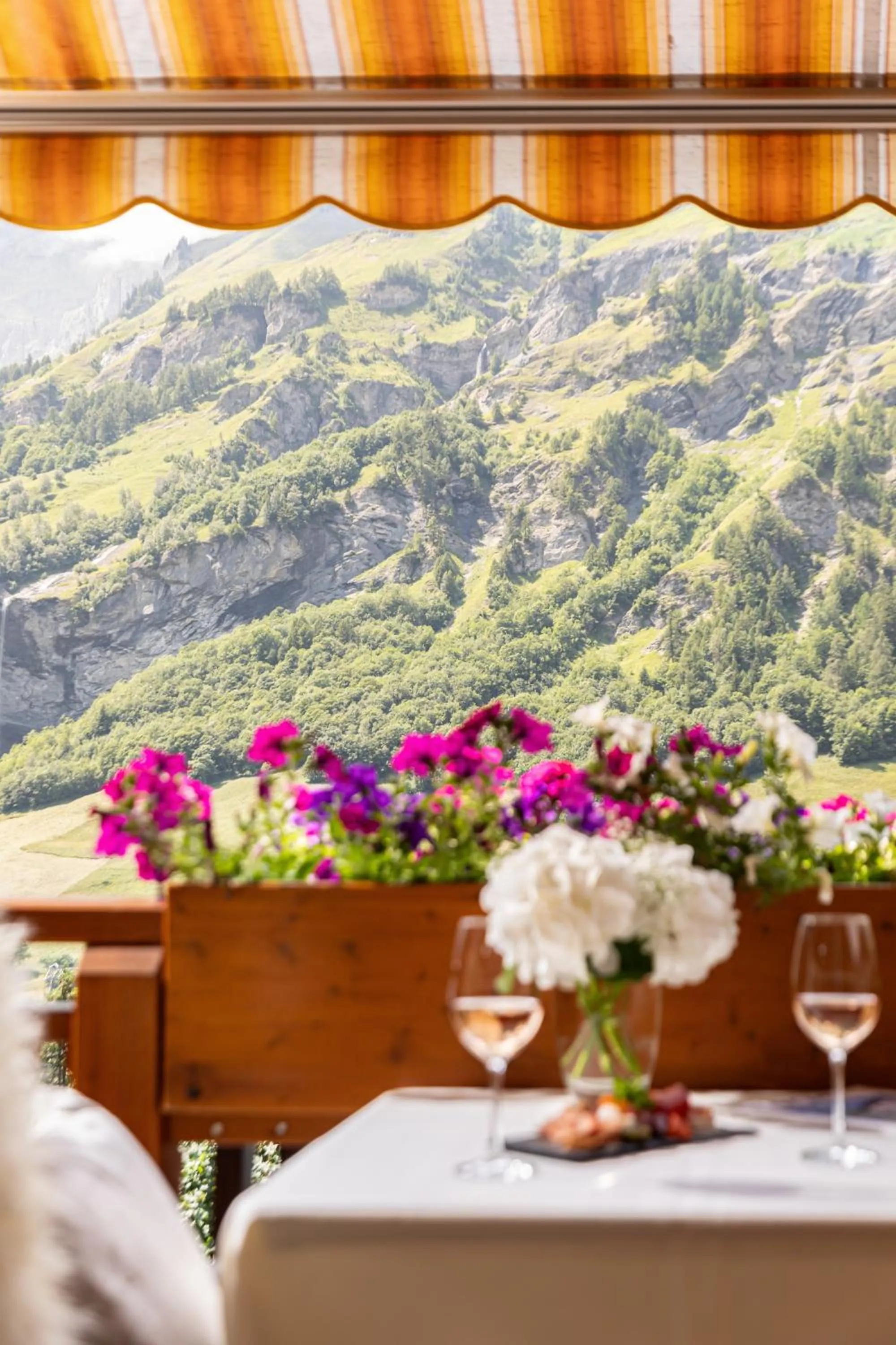 View (from property/room) in Hotel Restaurant Waldhaus