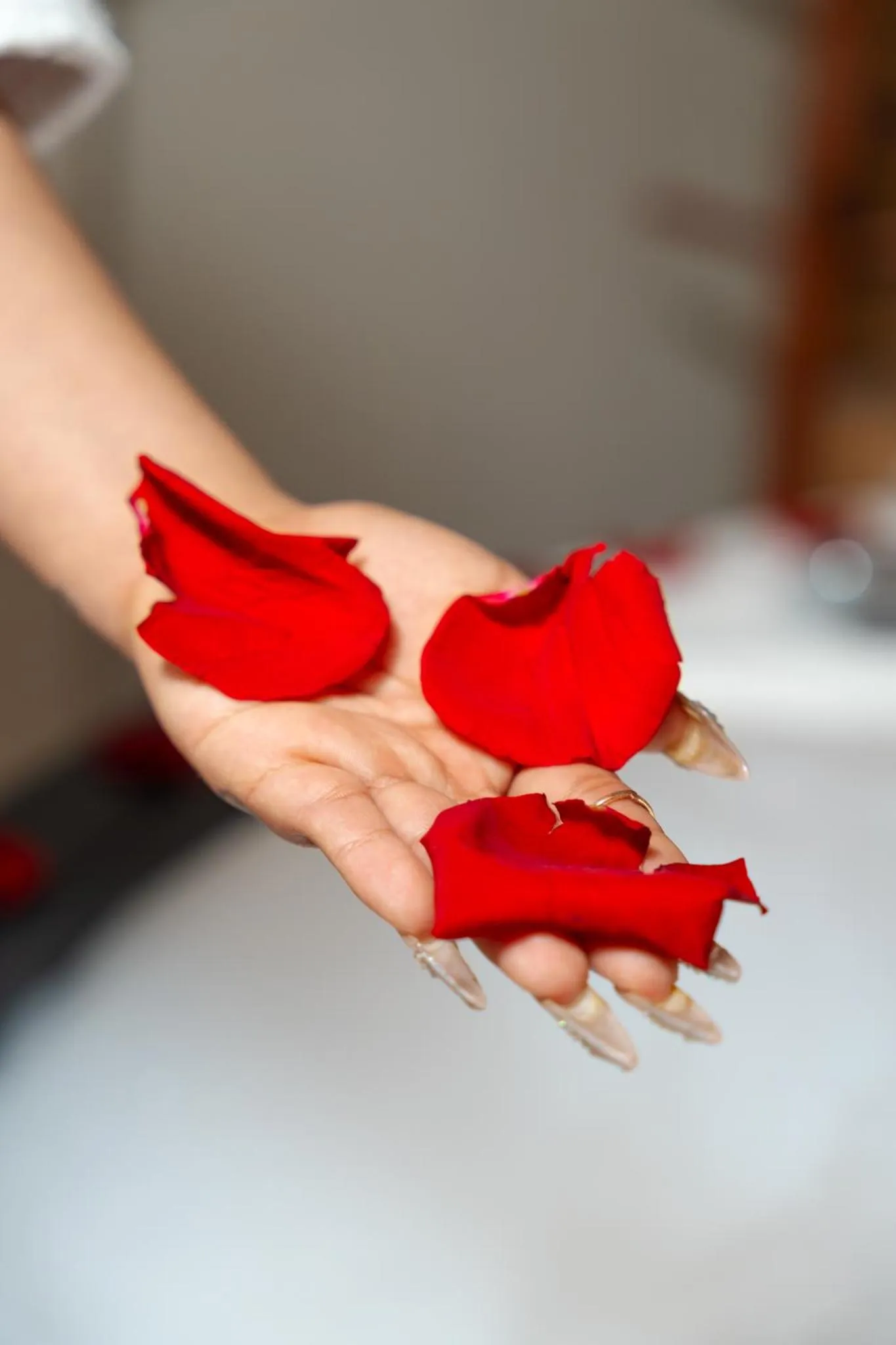 Decorative detail in Montreal Magdalena Del Mar Hotel