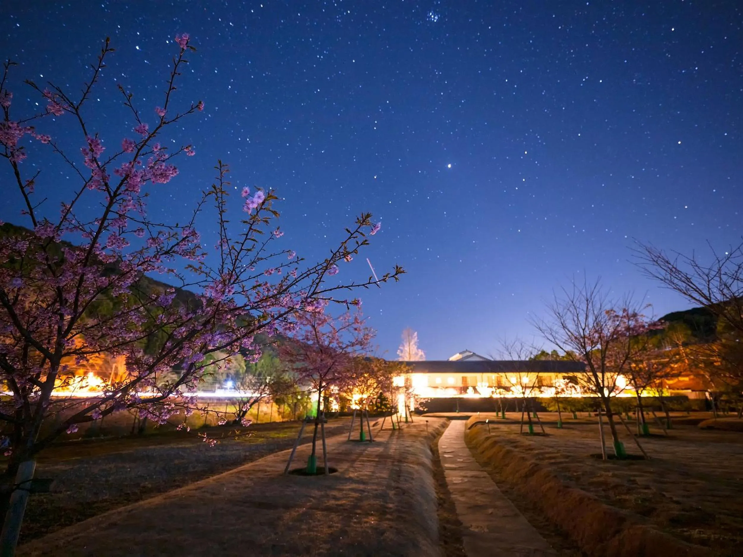 Night in Shimoda Central Hotel