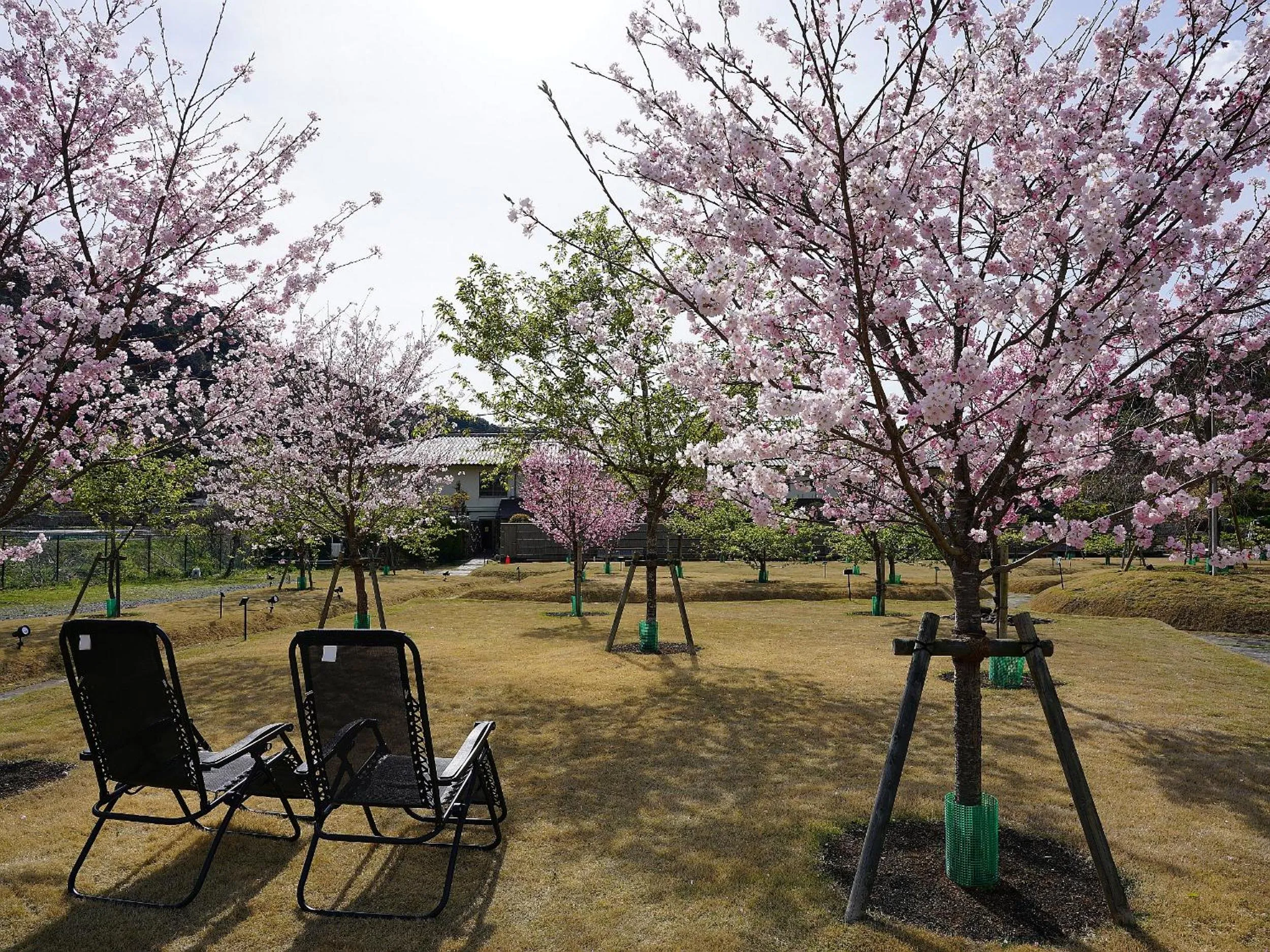 Garden in Shimoda Central Hotel
