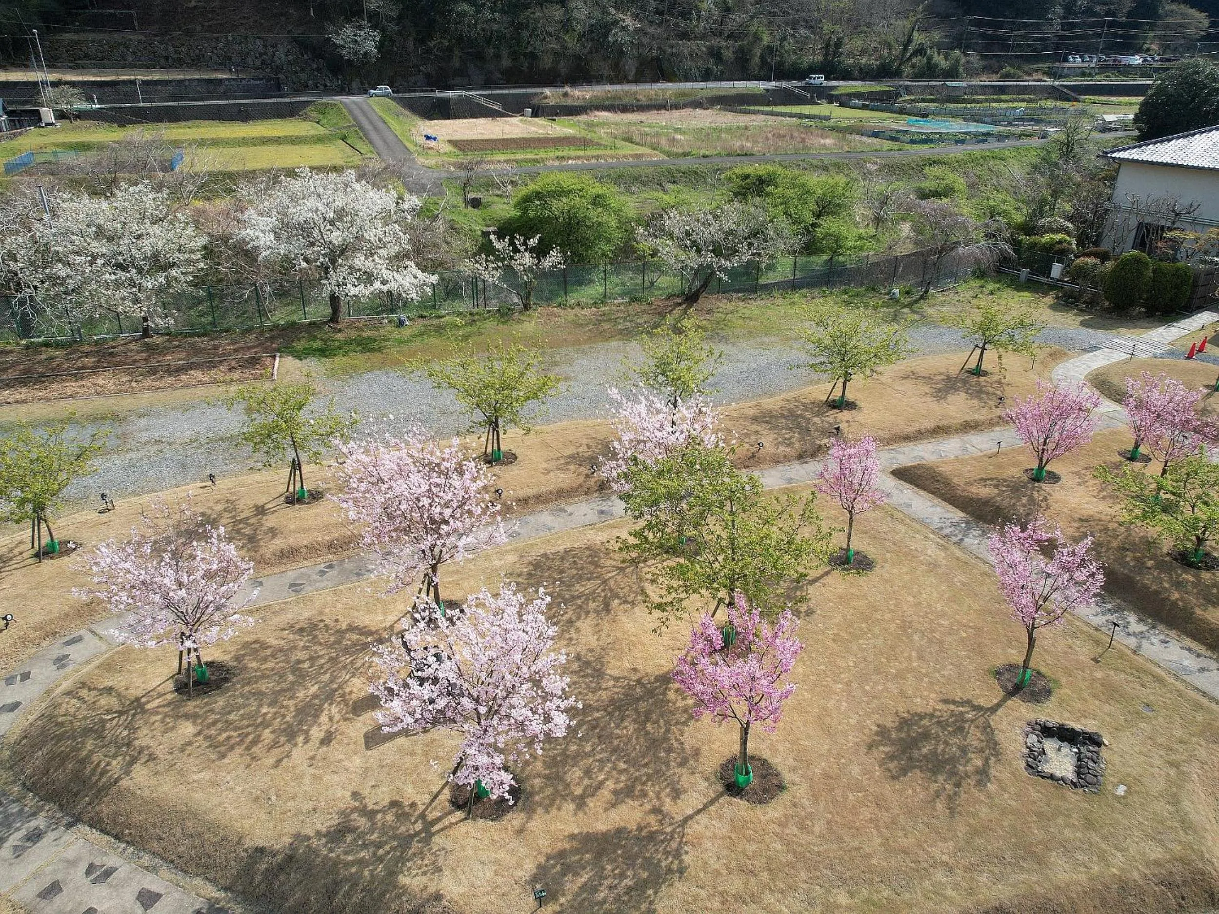 Garden in Shimoda Central Hotel