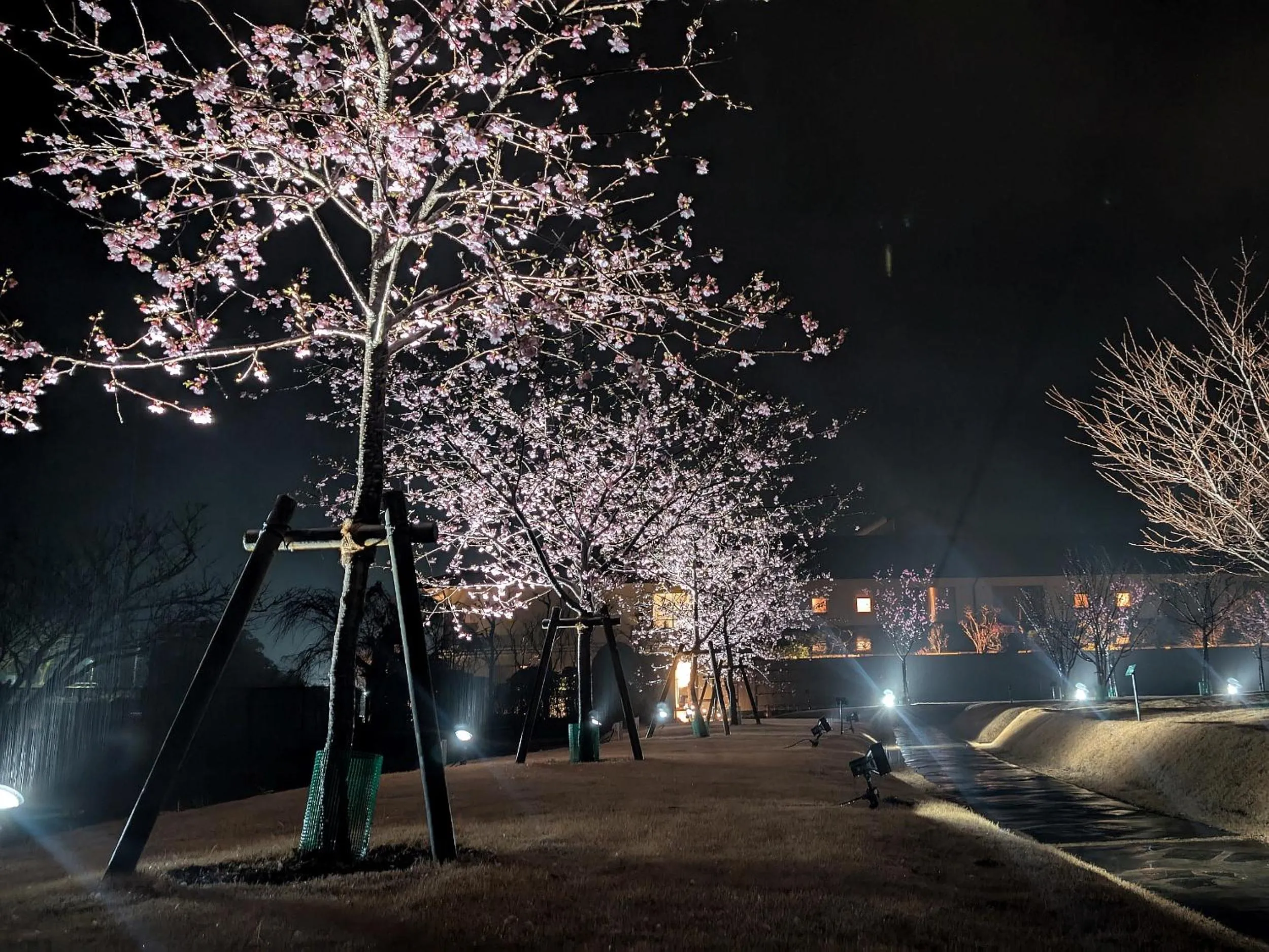 Garden in Shimoda Central Hotel