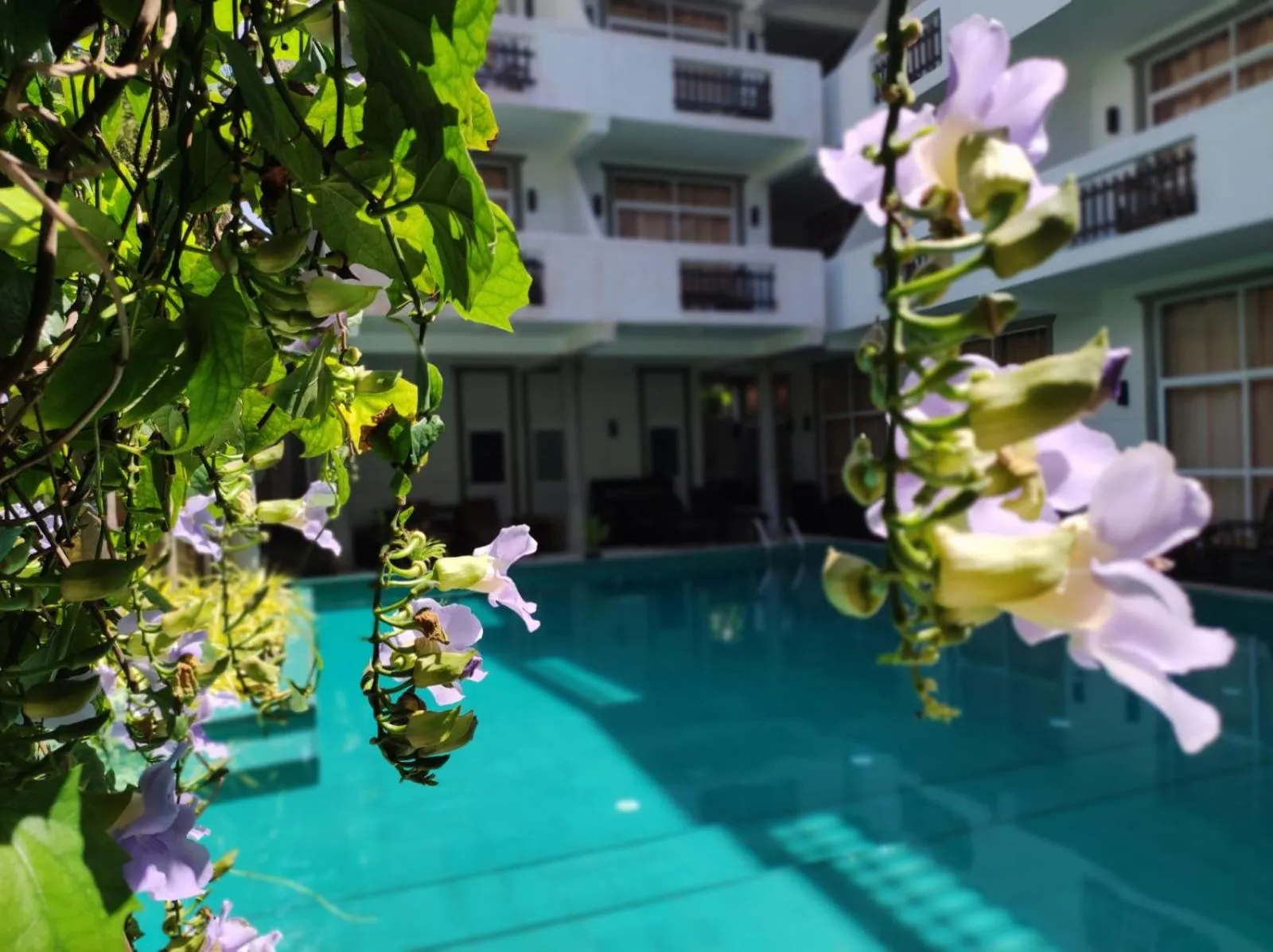 Garden view in Nil Diya Beach Resort