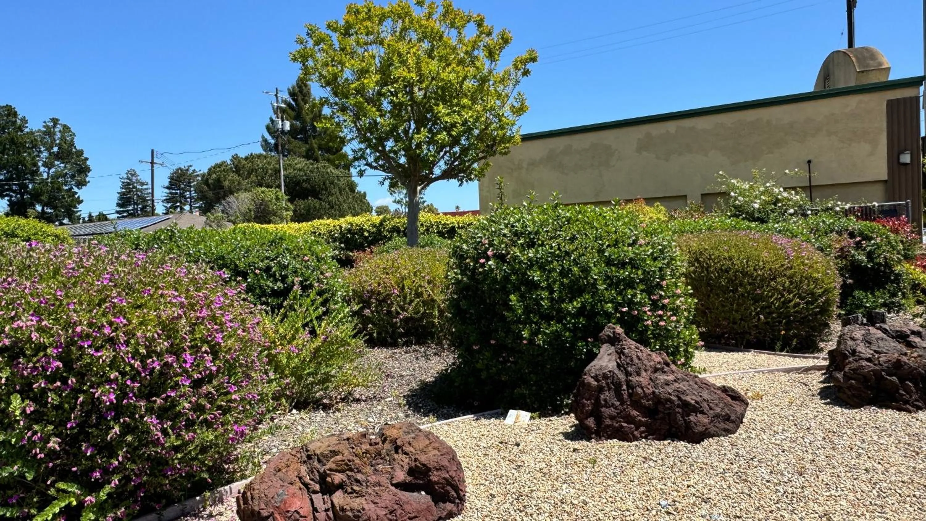 Garden in Hitching Post Studios Inn