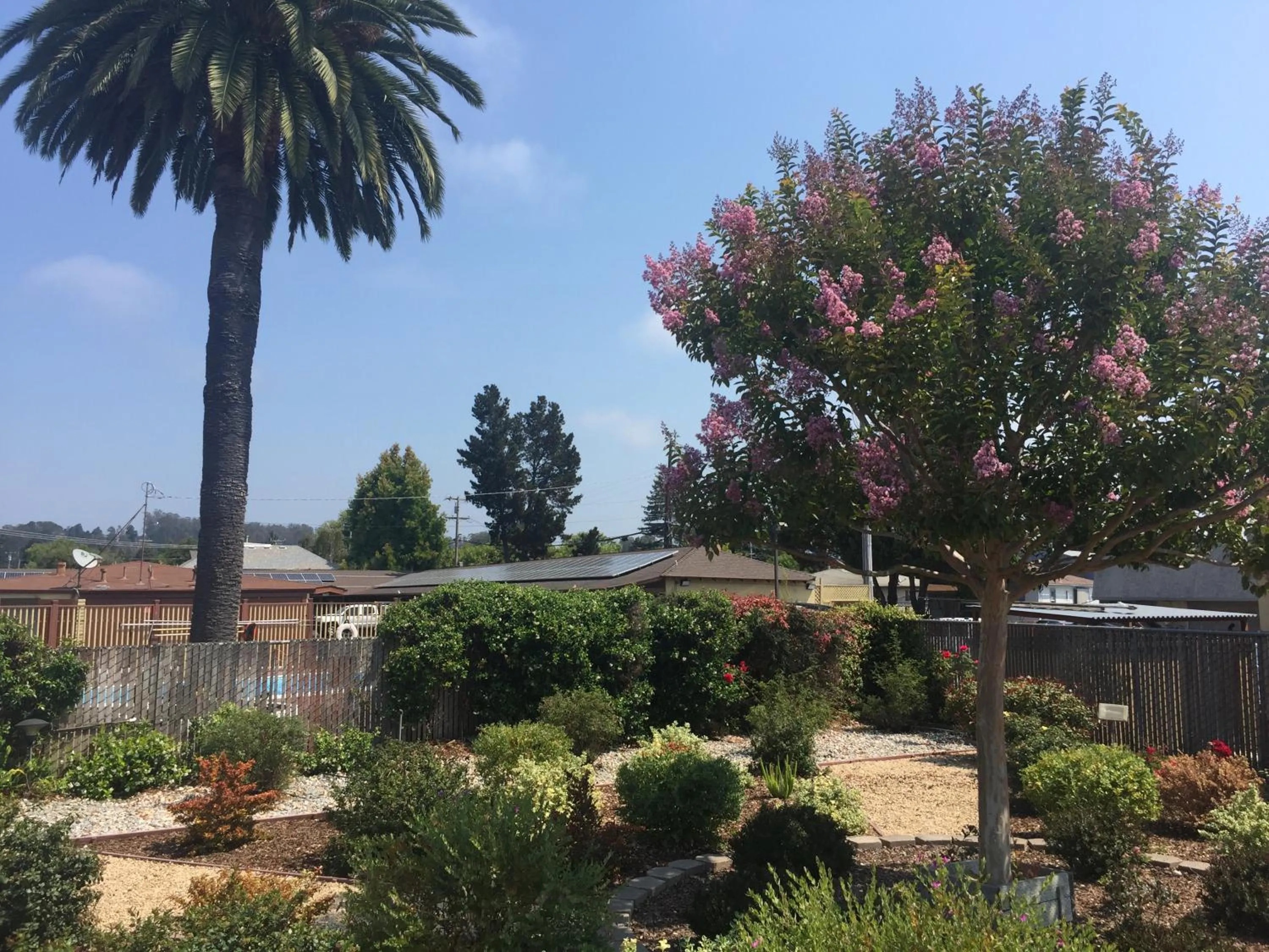 Garden view in Hitching Post Studios Inn