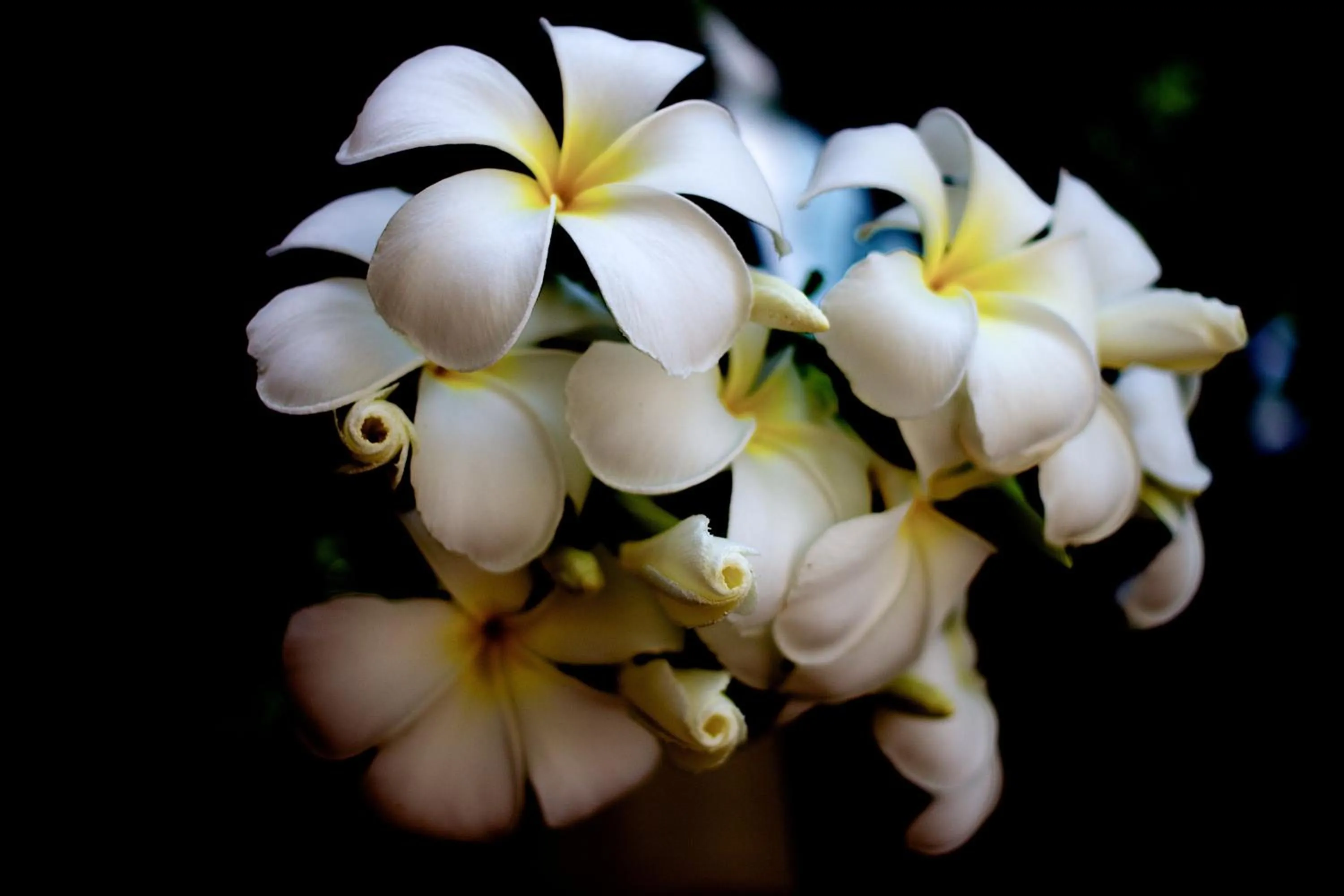 Garden in Asia Hotels Group (Poonpetch Chiangmai)