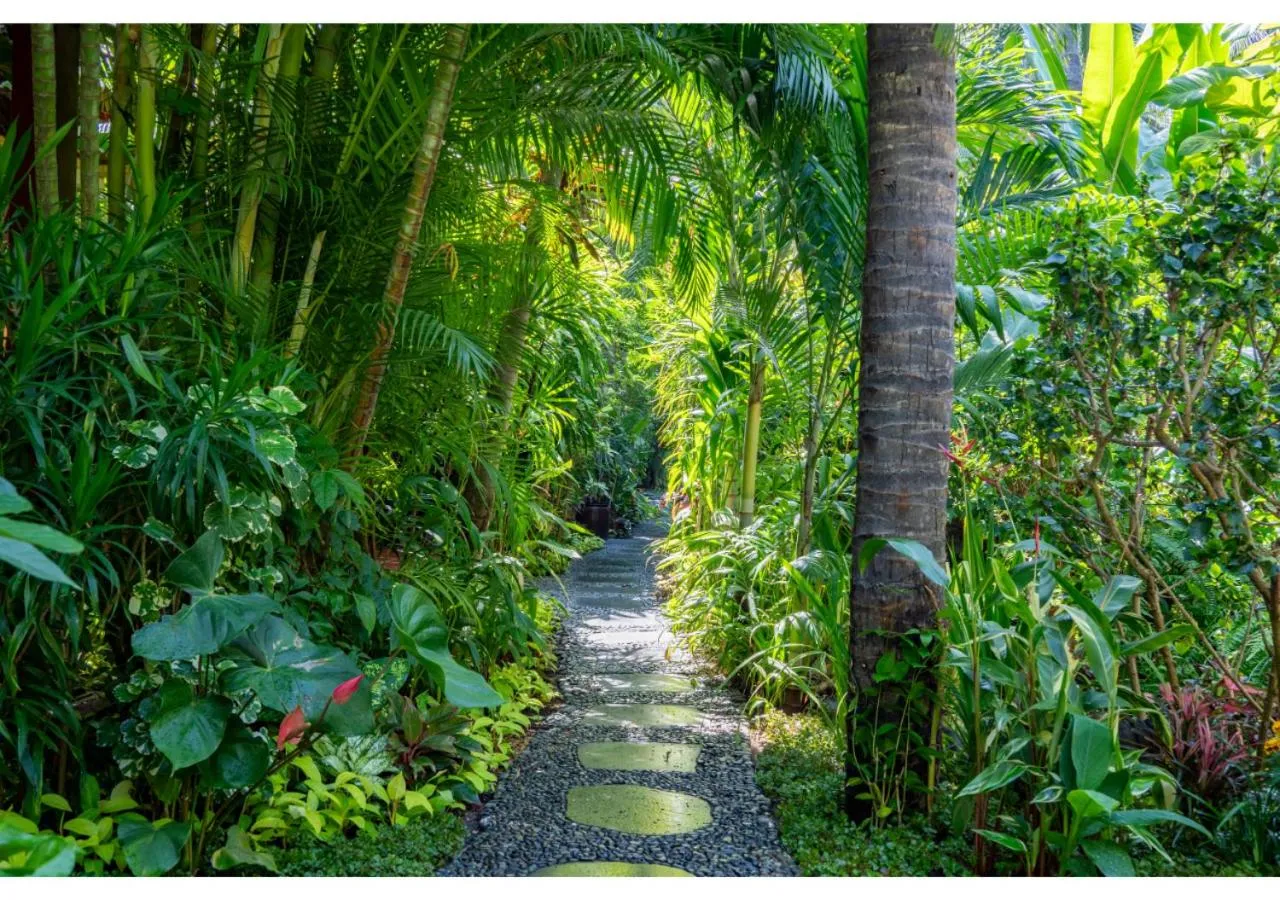 Garden in Bamboo Village Beach Resort & Spa
