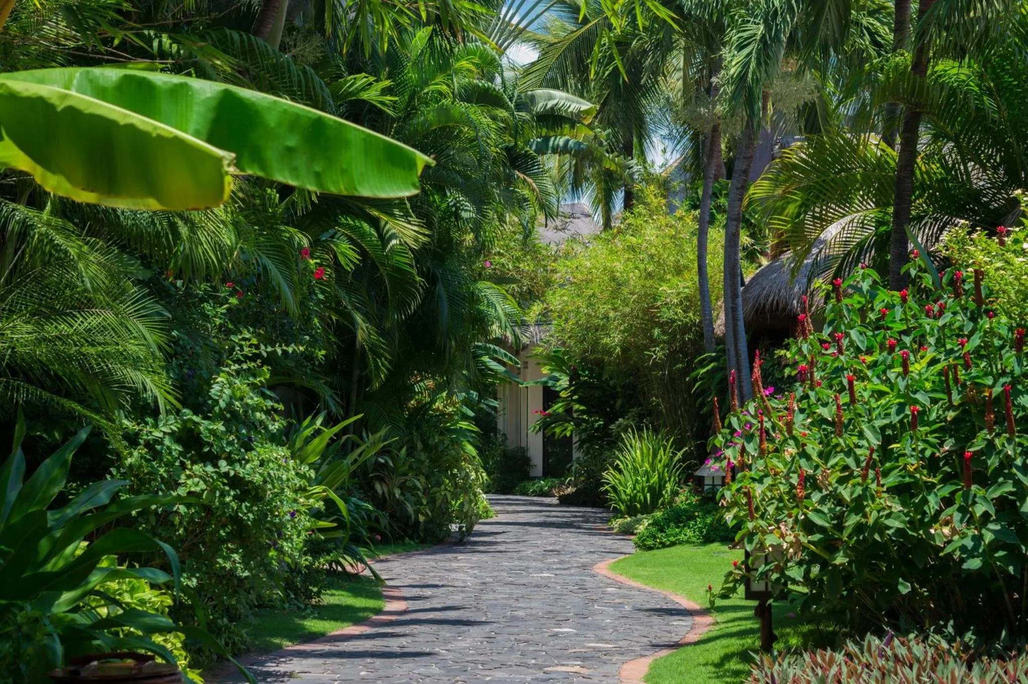 Garden view in Bamboo Village Beach Resort & Spa