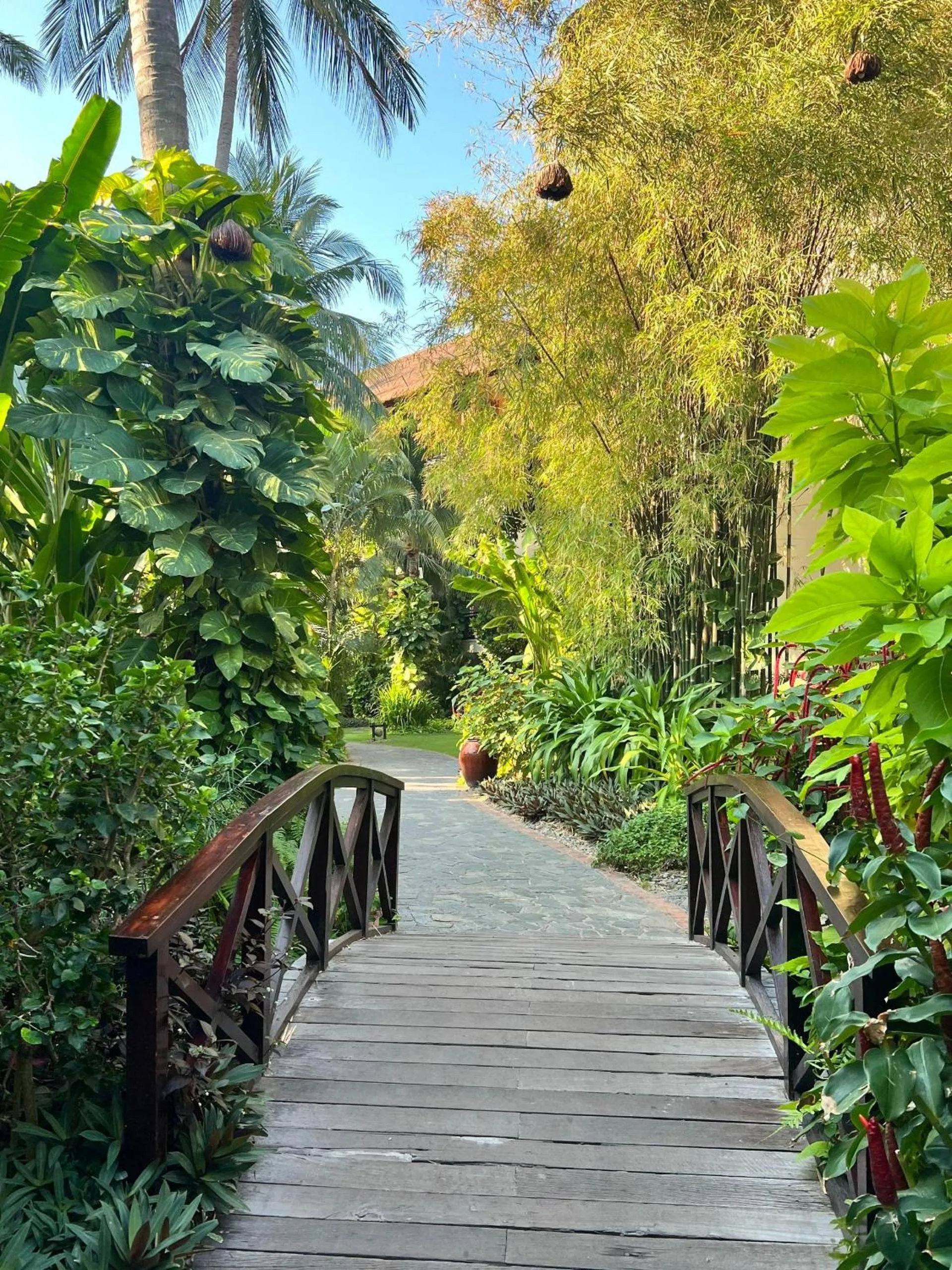 Garden view in Bamboo Village Beach Resort & Spa