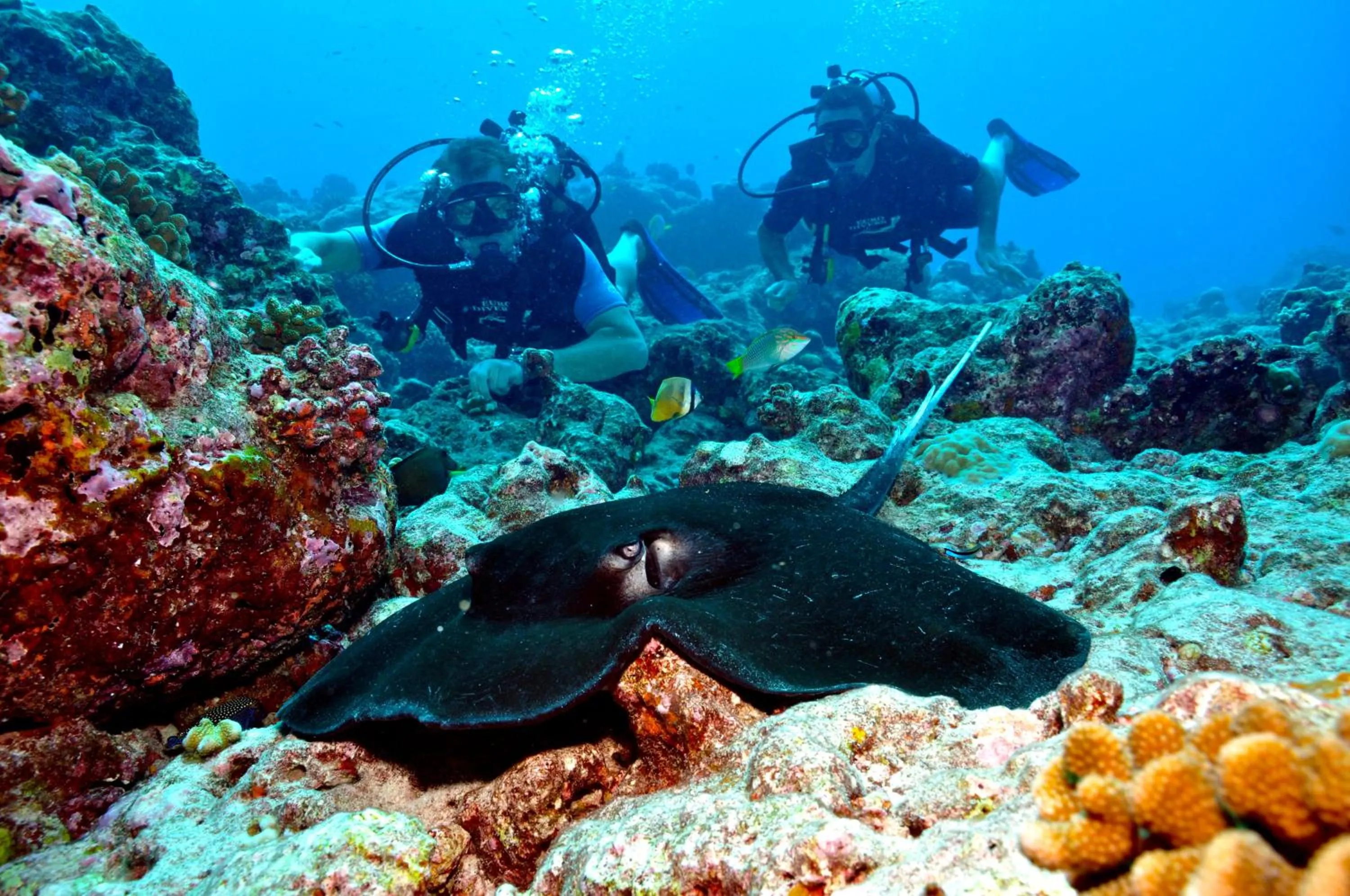 Fitness centre/facilities in Holiday Inn Resort Kandooma Maldives - Kids Stay & Eat Free and Free Roundtrip Speed Boat for a minimum 4 nights stay