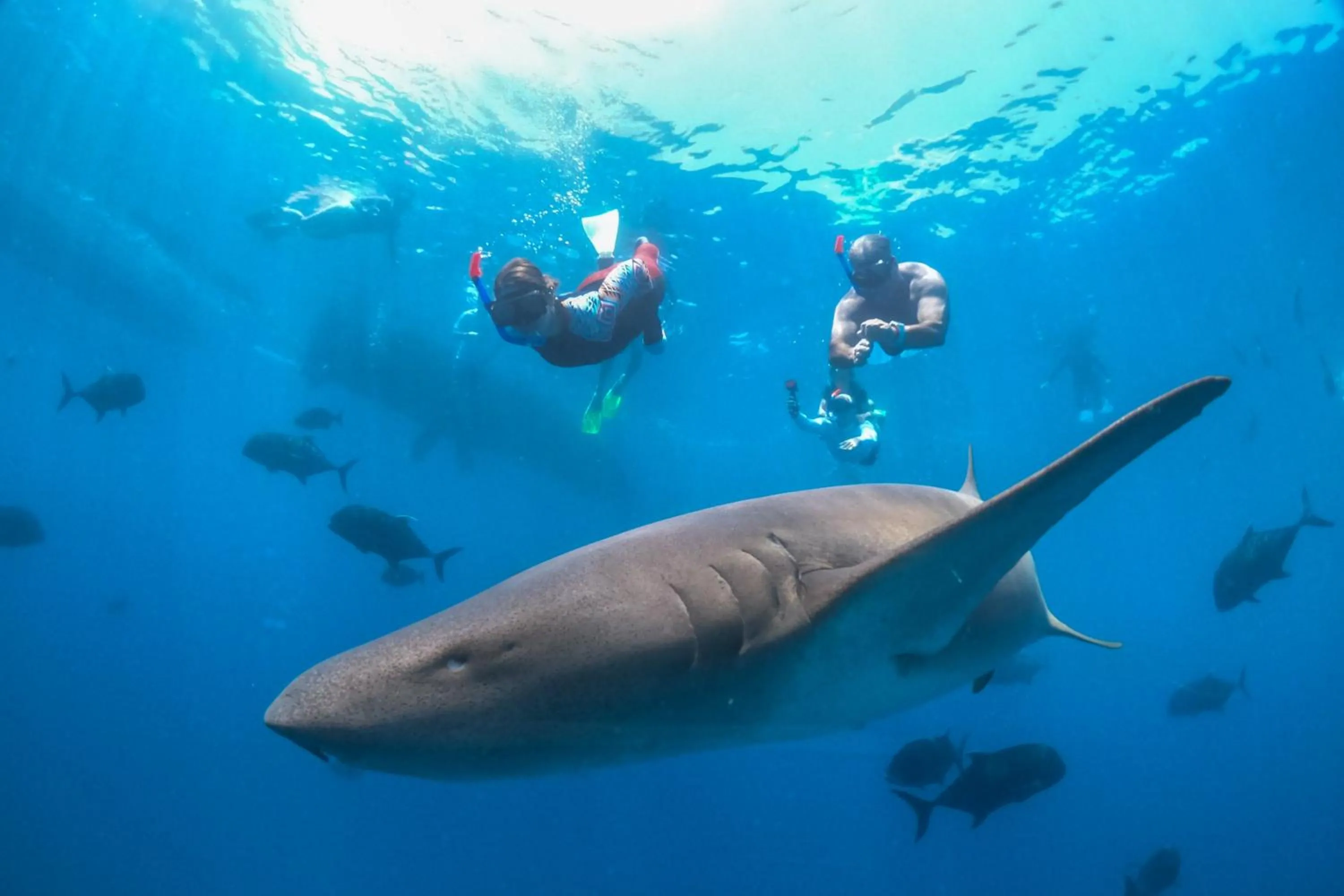 Fitness centre/facilities in Holiday Inn Resort Kandooma Maldives - Kids Stay & Eat Free and Free Roundtrip Speed Boat for a minimum 4 nights stay