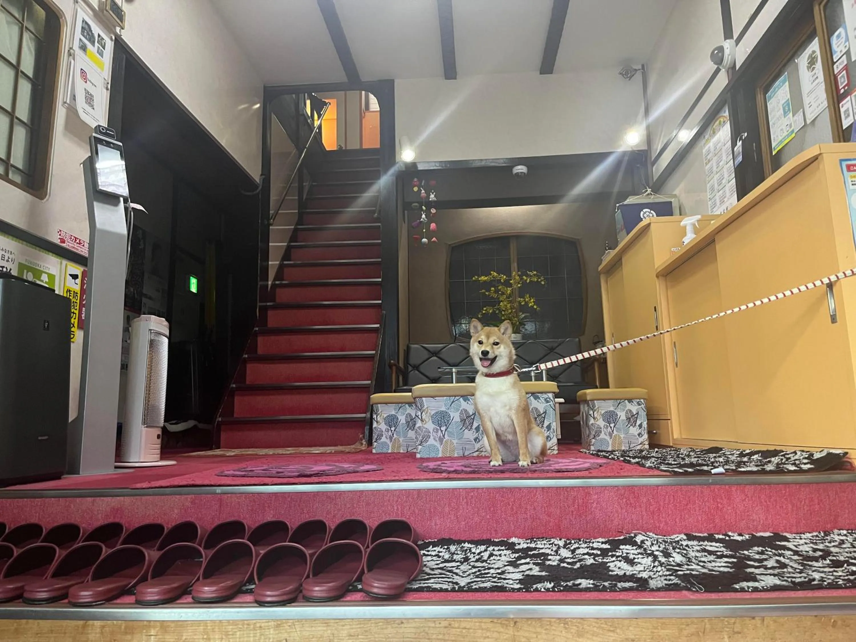 Lobby or reception in Yamamoto Ryokan