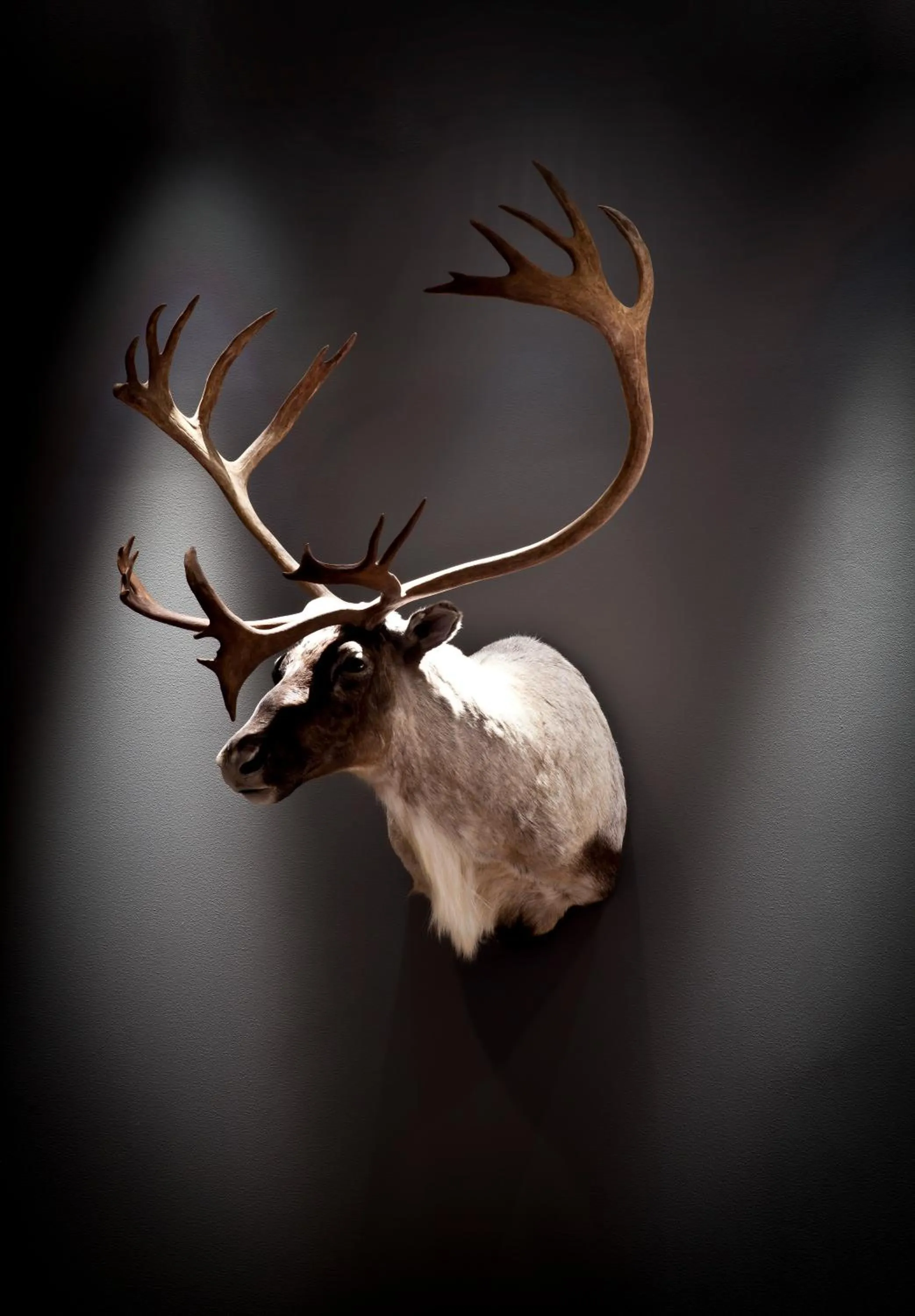 Decorative detail in Quality Hotel Skifer