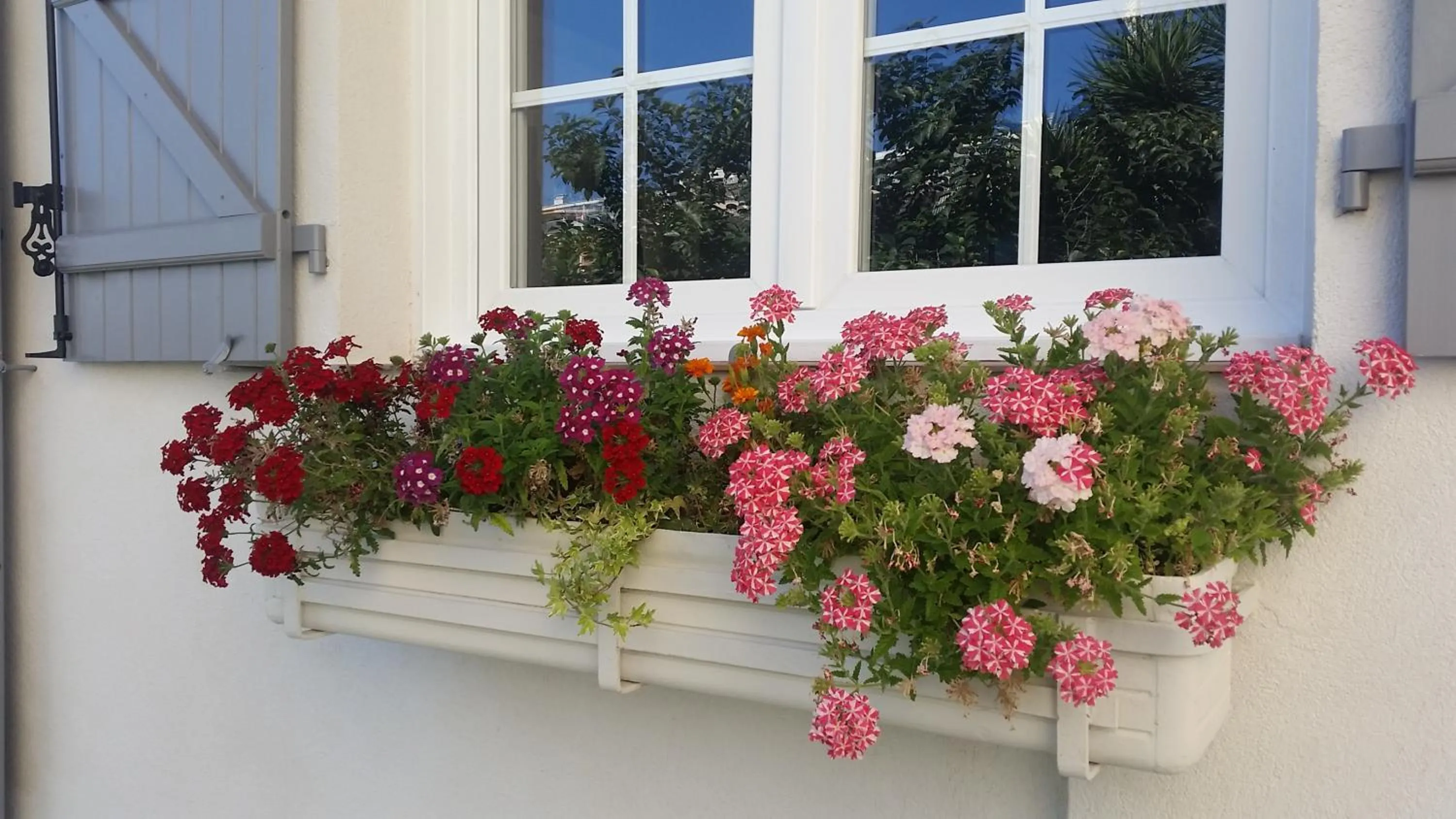 Garden in B&B Villa Blanche