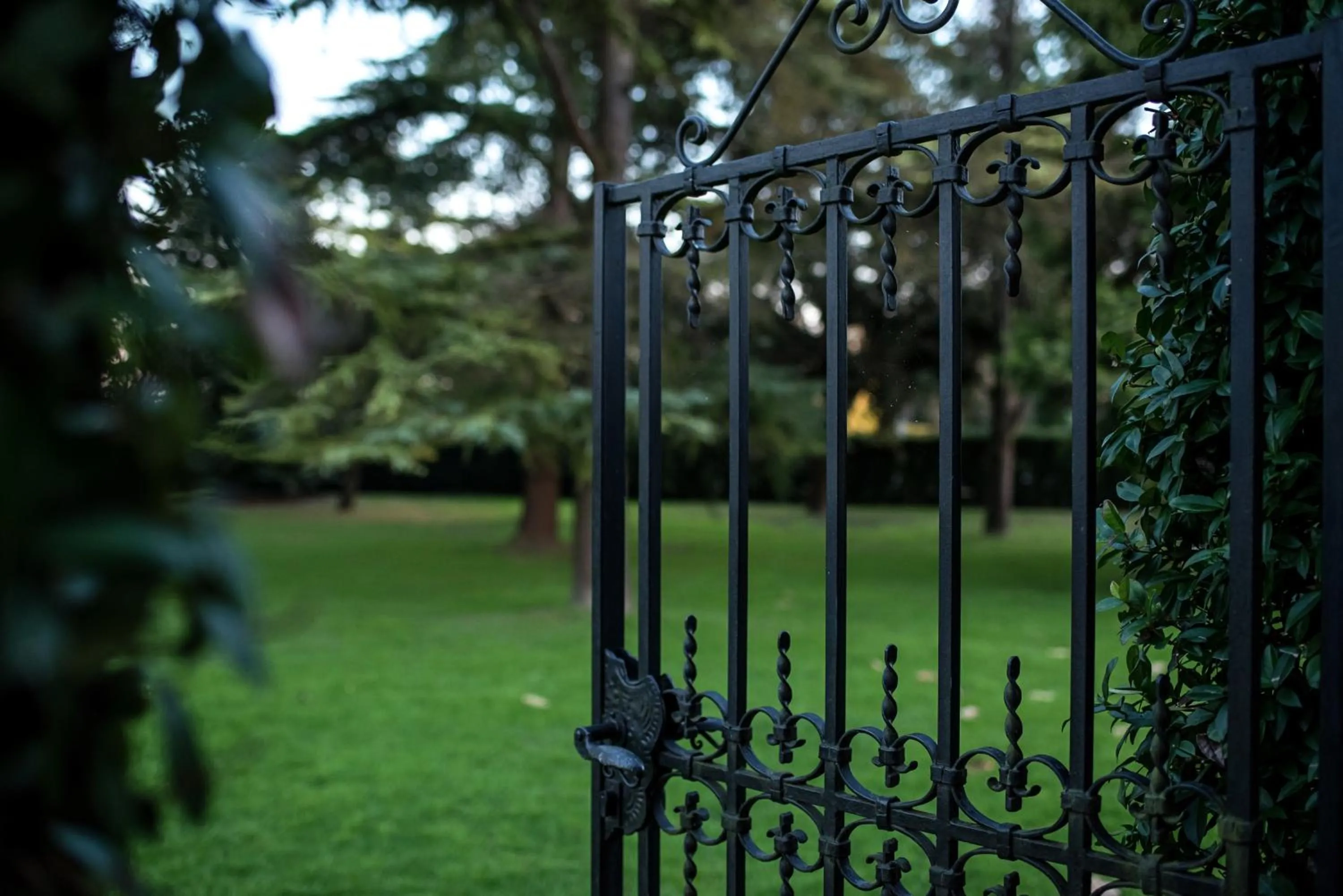 Garden in Villa Margherita