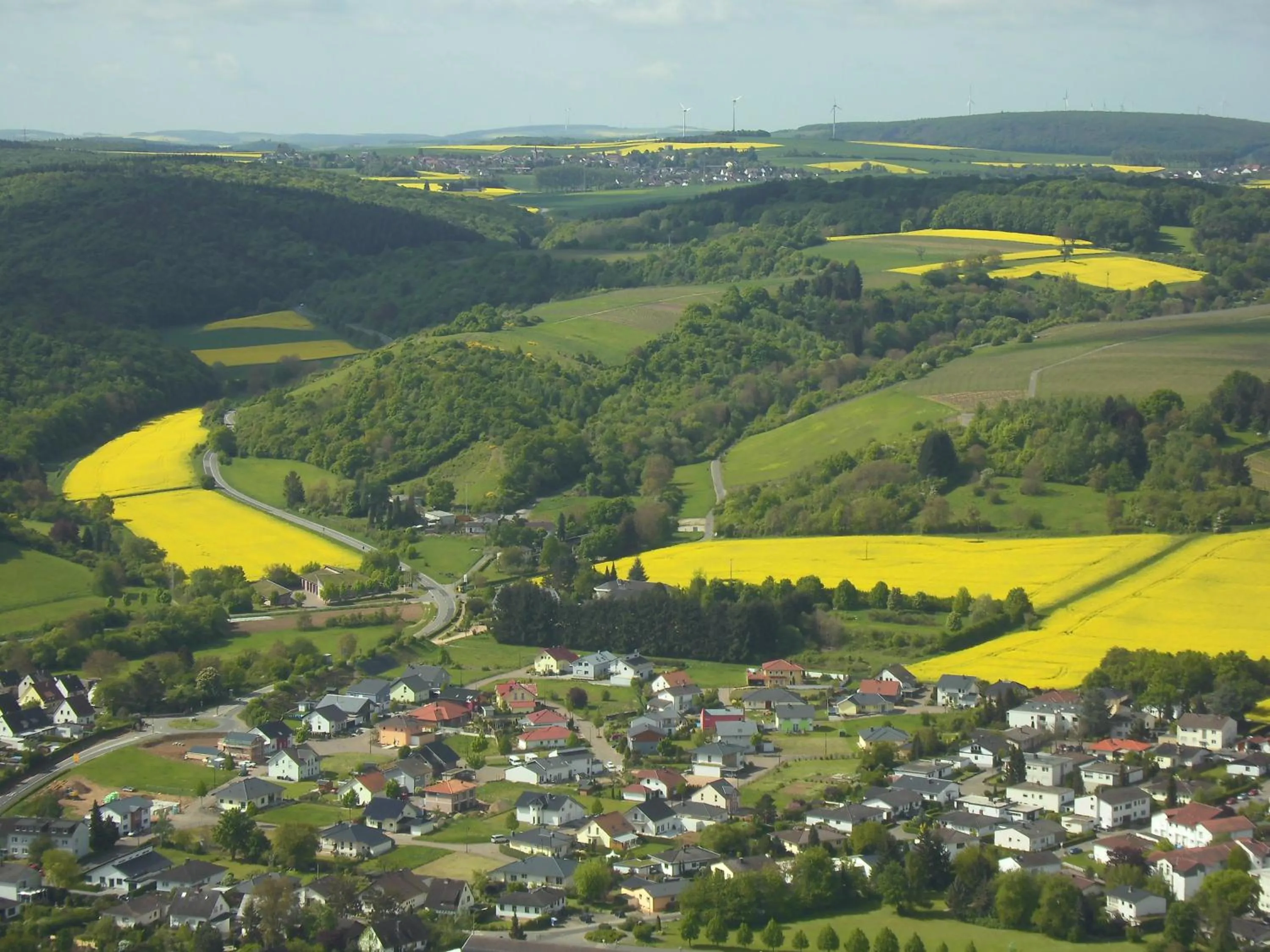 Natural landscape in Hotel Krone