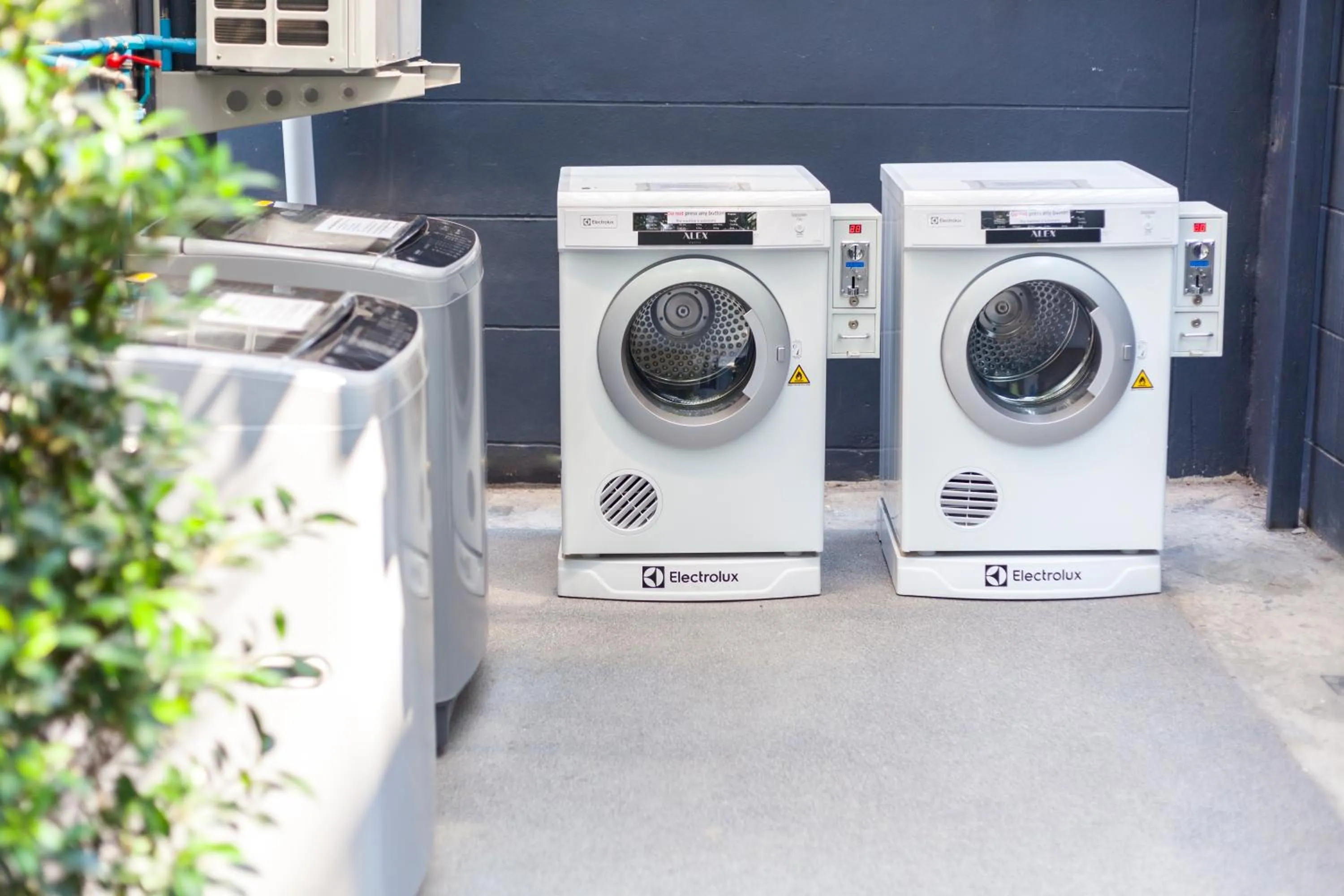 Area and facilities in ALEXA Nimman