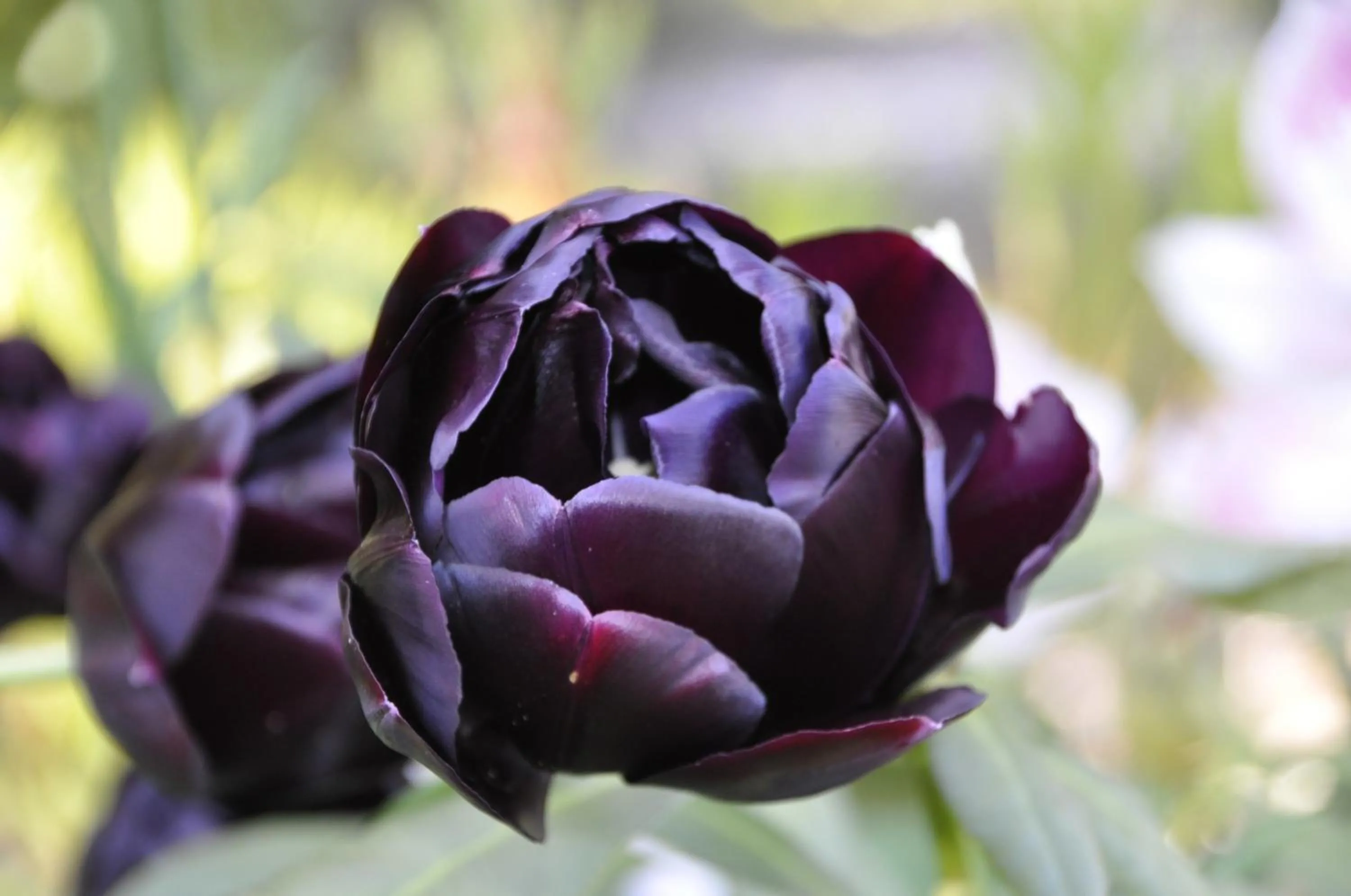 Spring in Lundsgaard Bed & Breakfast