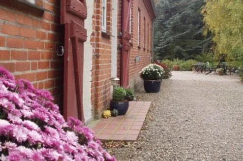 Garden in Lundsgaard Bed & Breakfast