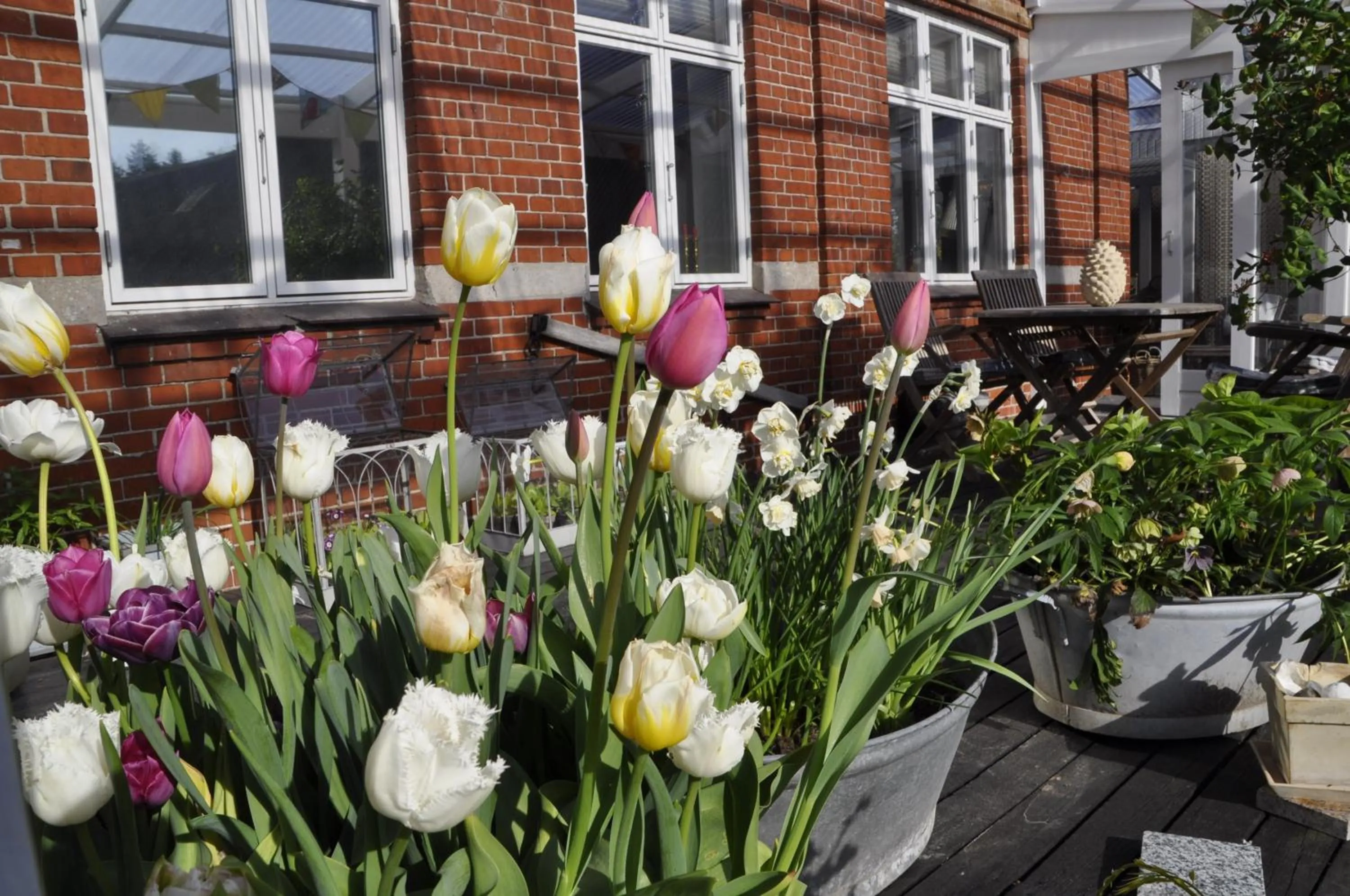 Spring in Lundsgaard Bed & Breakfast