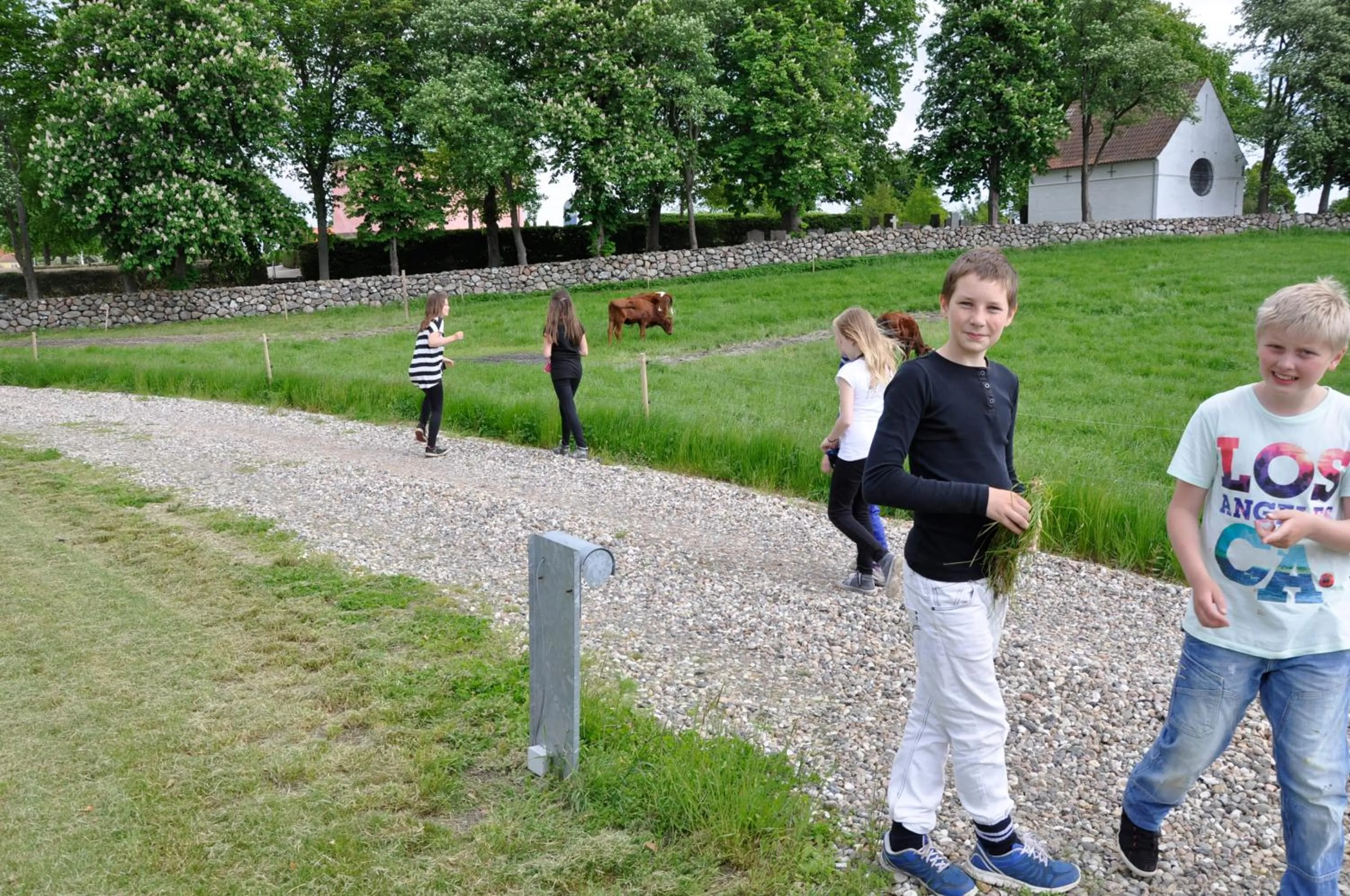Garden in Lundsgaard Bed & Breakfast