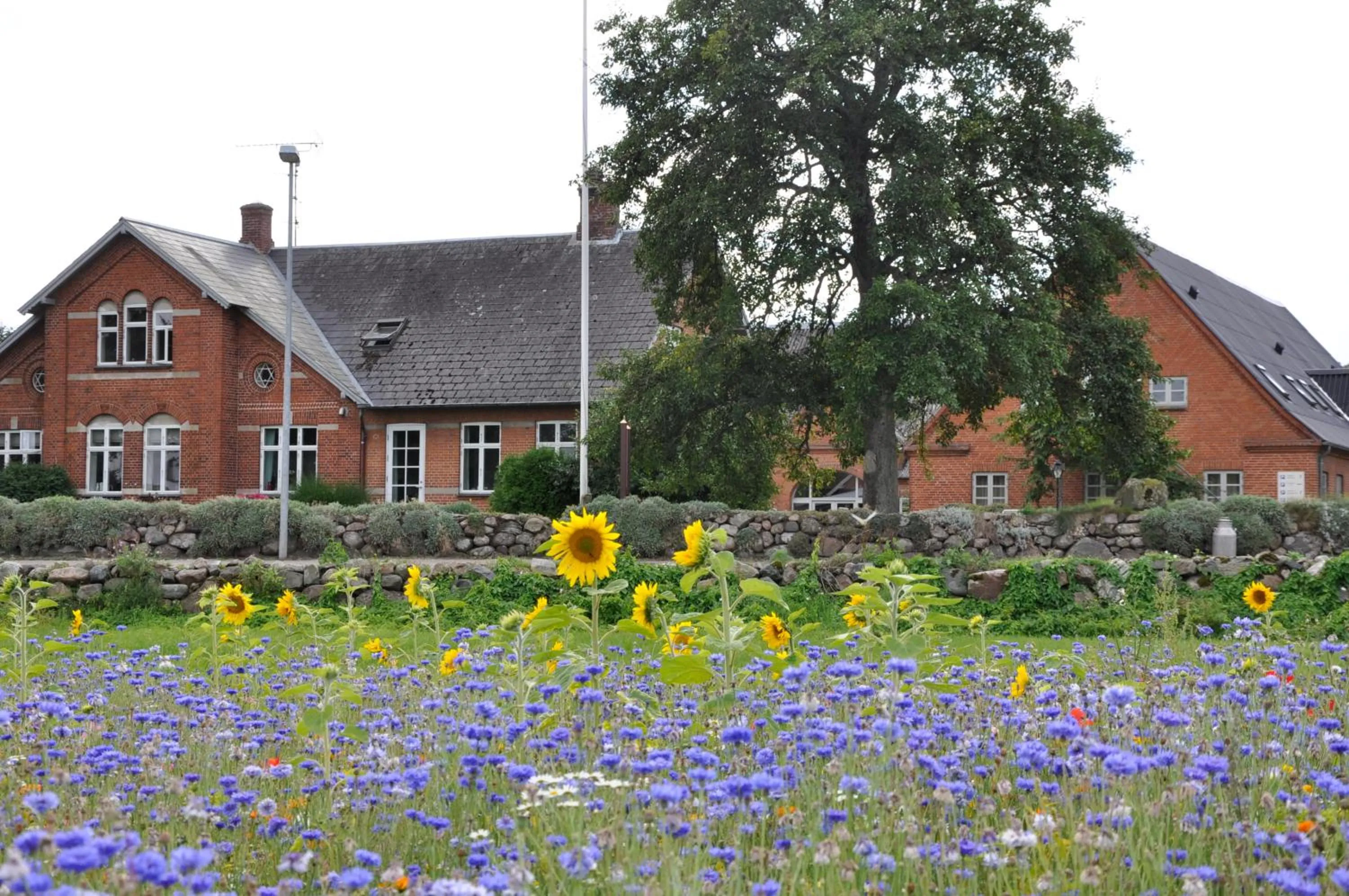 Facade/entrance in Lundsgaard Bed & Breakfast