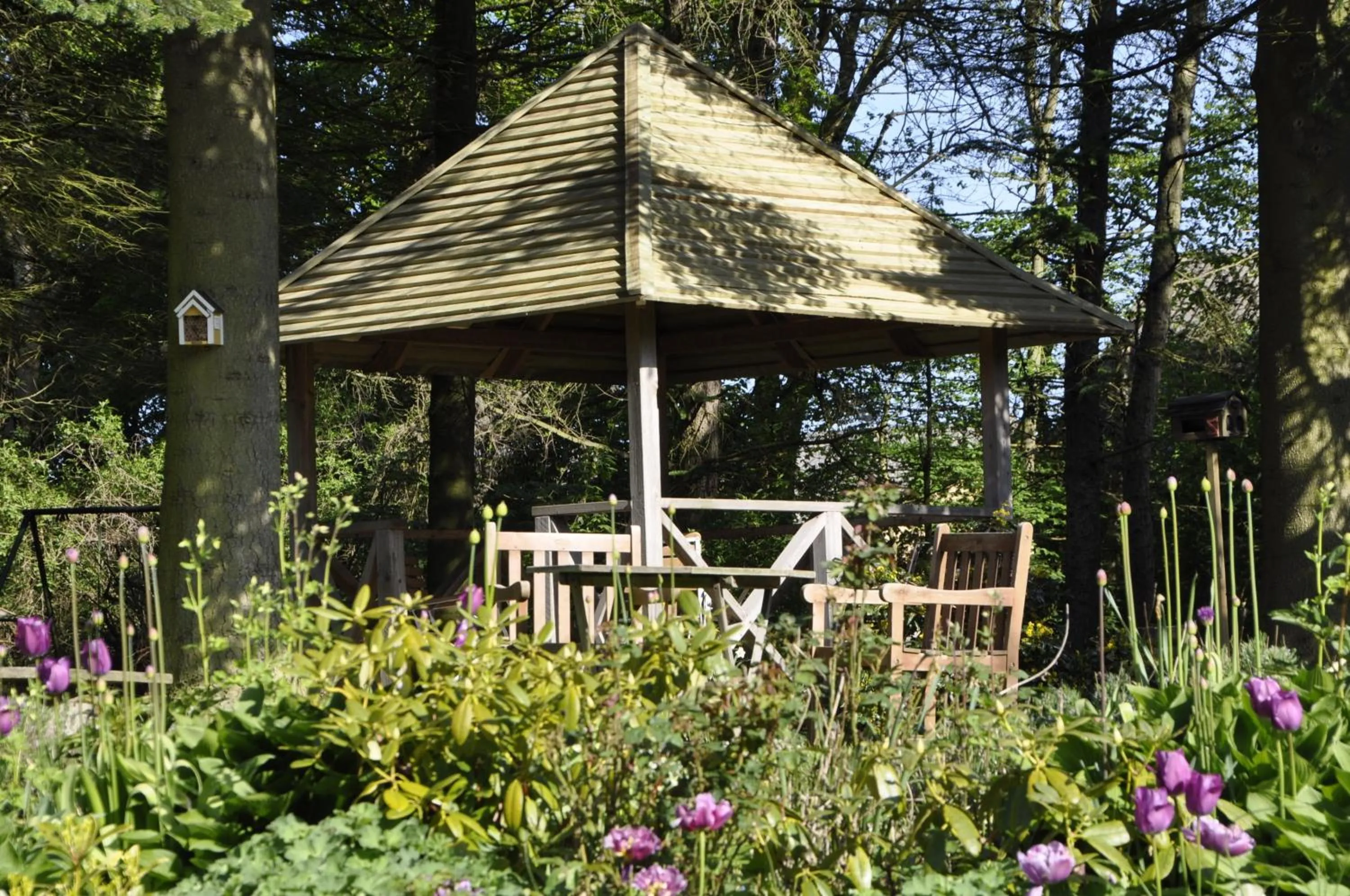 Garden in Lundsgaard Bed & Breakfast
