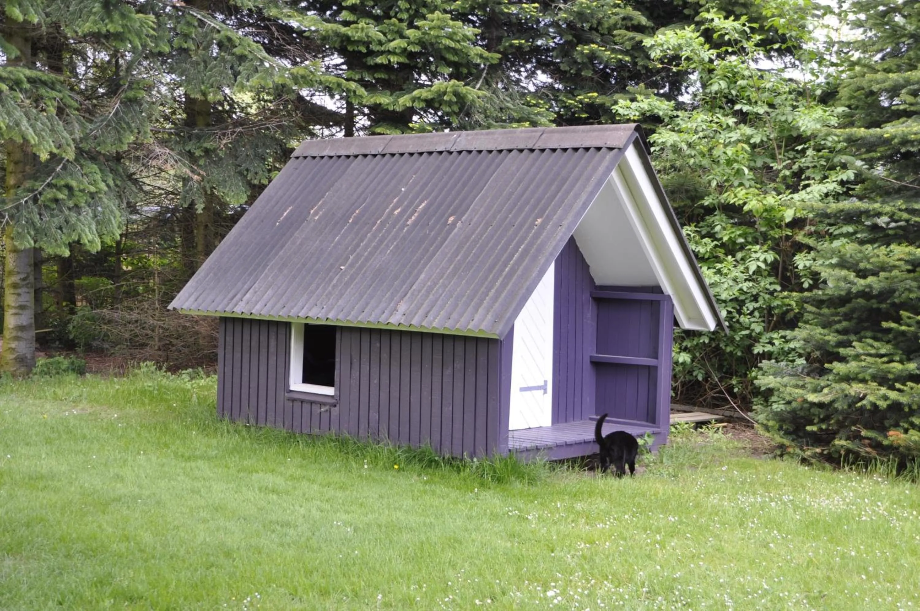 Garden in Lundsgaard Bed & Breakfast