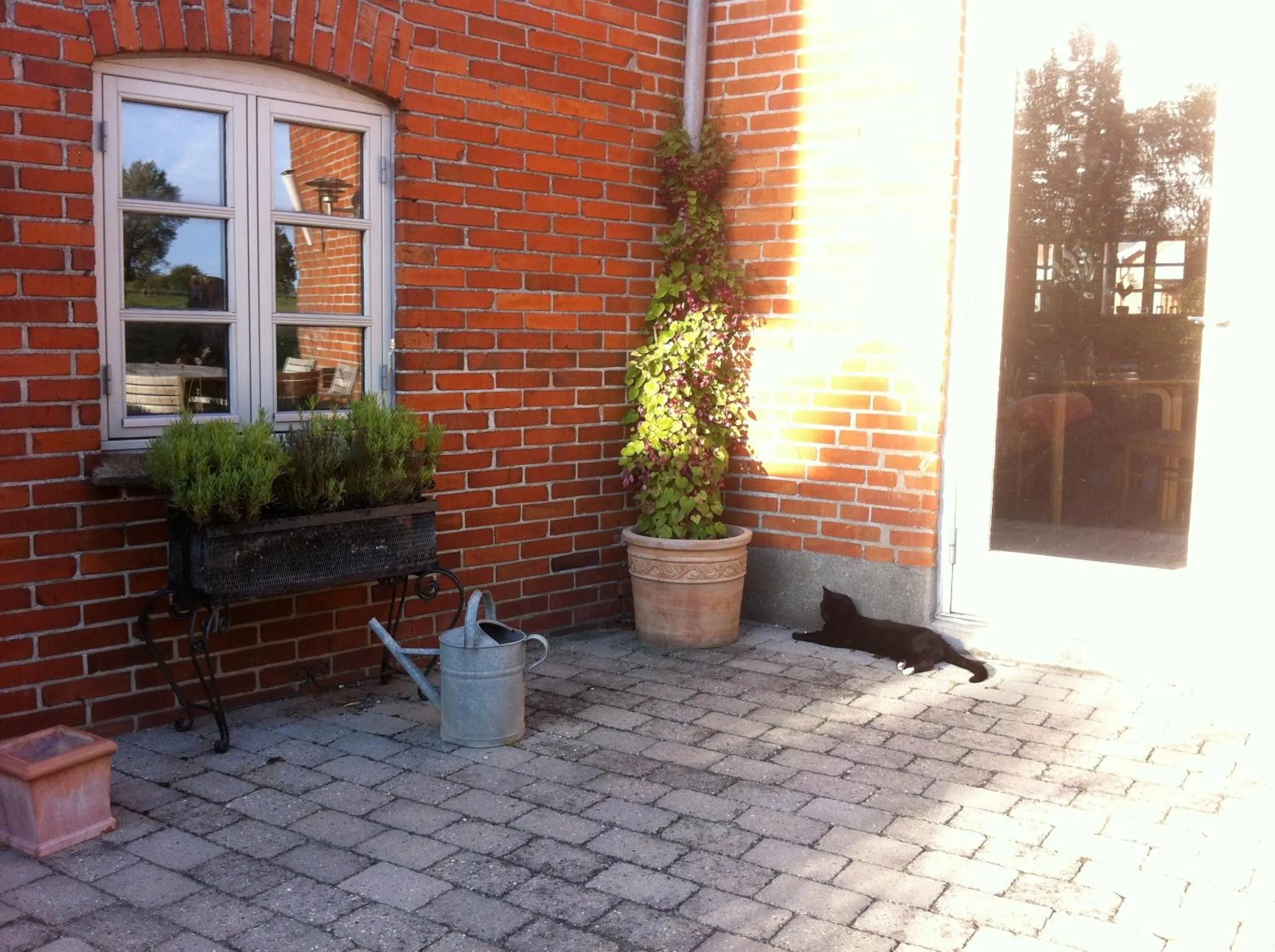 Garden in Lundsgaard Bed & Breakfast