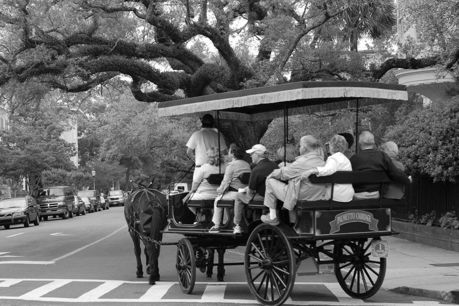 Sweet Spacious Suite